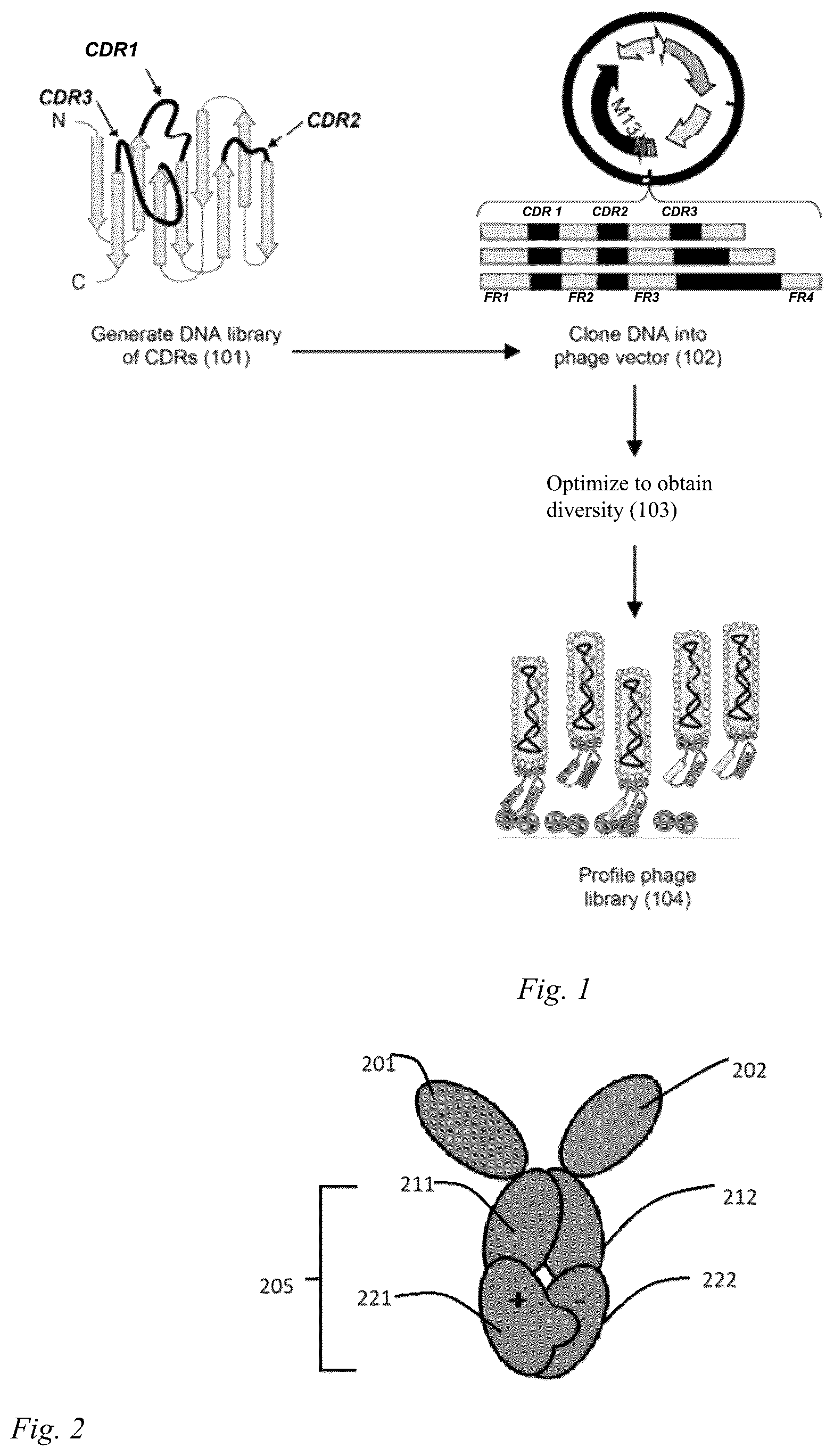 Patent US12098186 Figure 1 – Multivalent anti-SARS-CoV-2 nanobodies