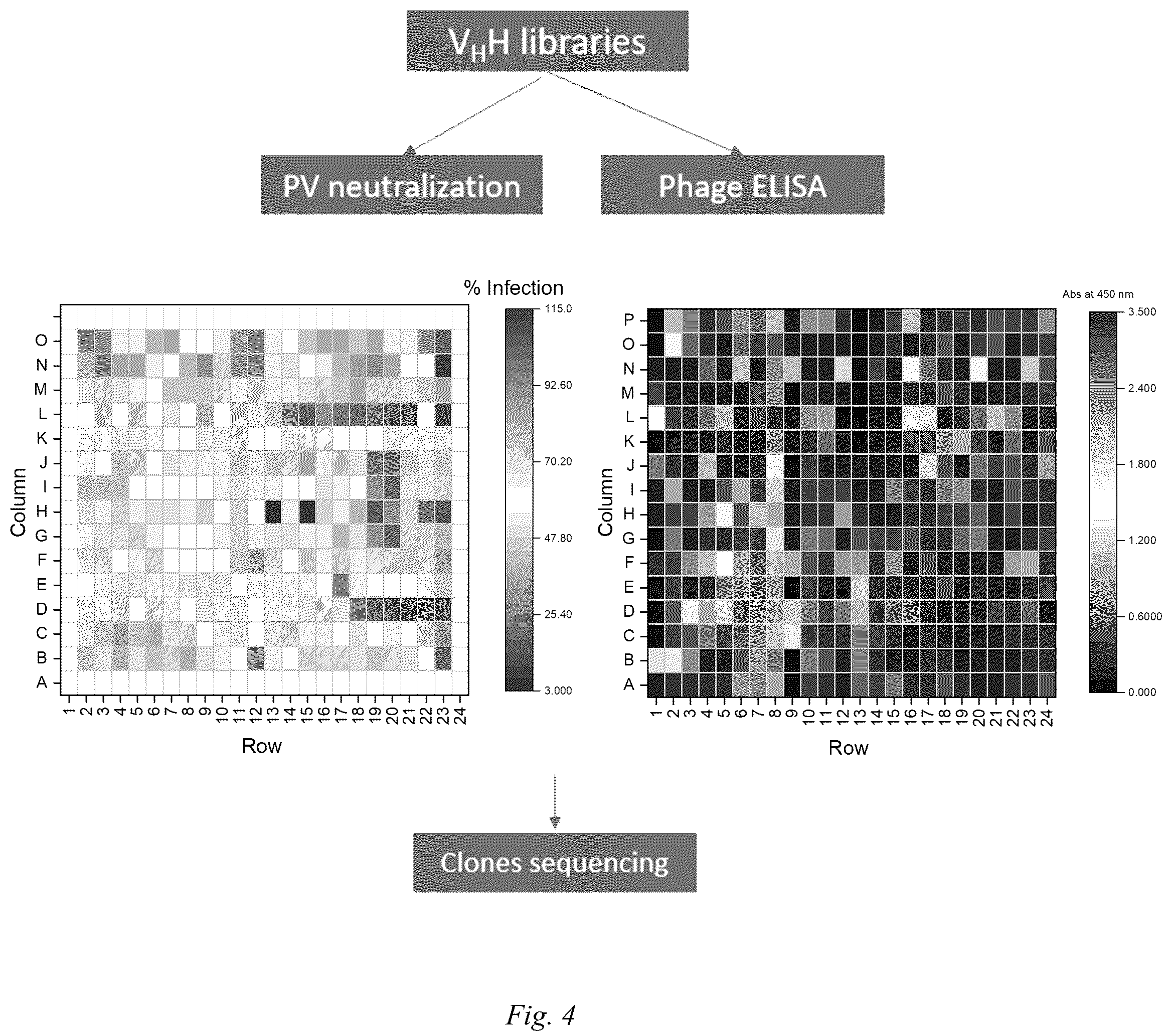 Patent US12098186 Figure 3 – Multivalent anti-SARS-CoV-2 nanobodies