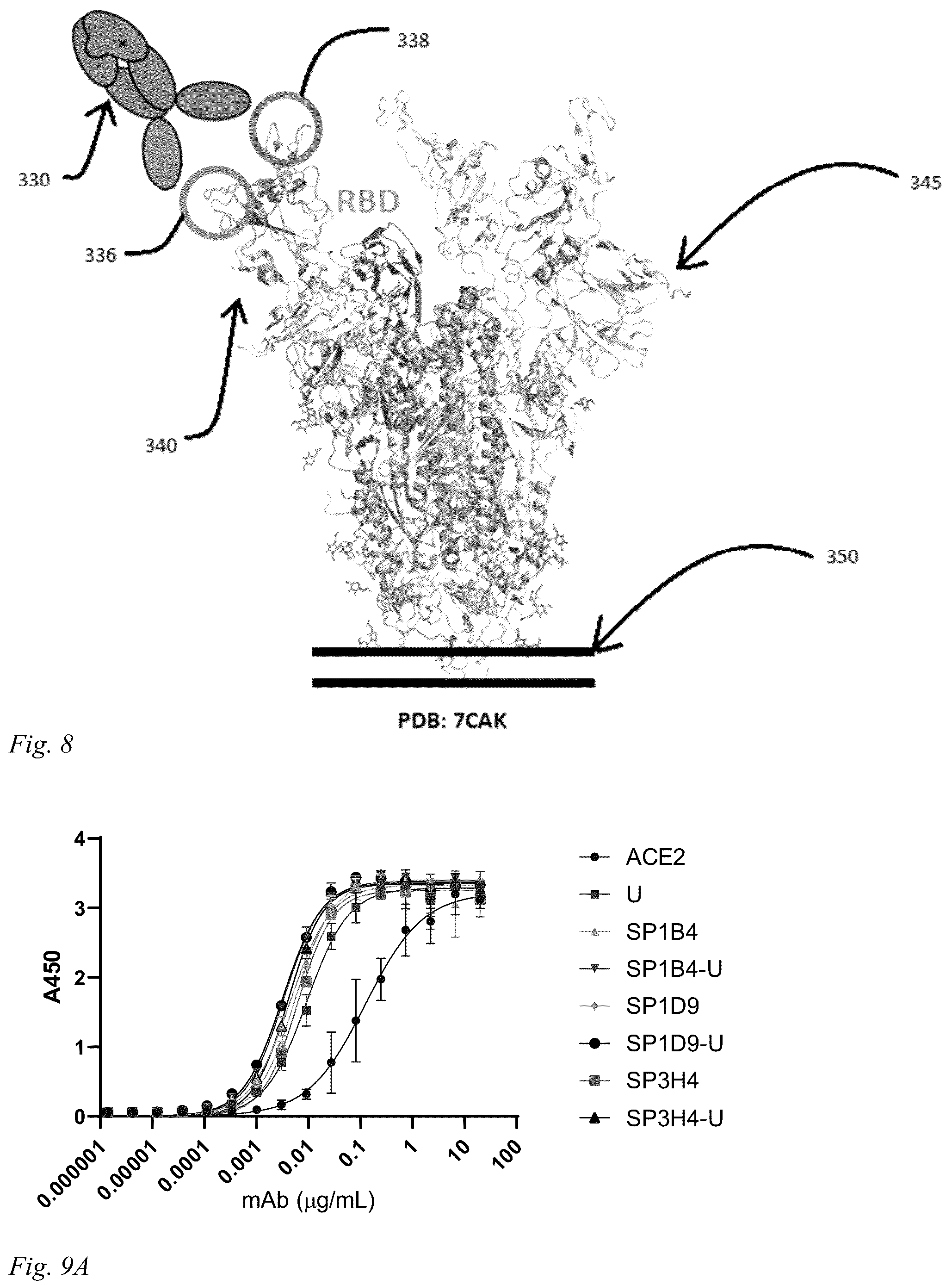 Patent US12098186 Figure 5 – Multivalent anti-SARS-CoV-2 nanobodies