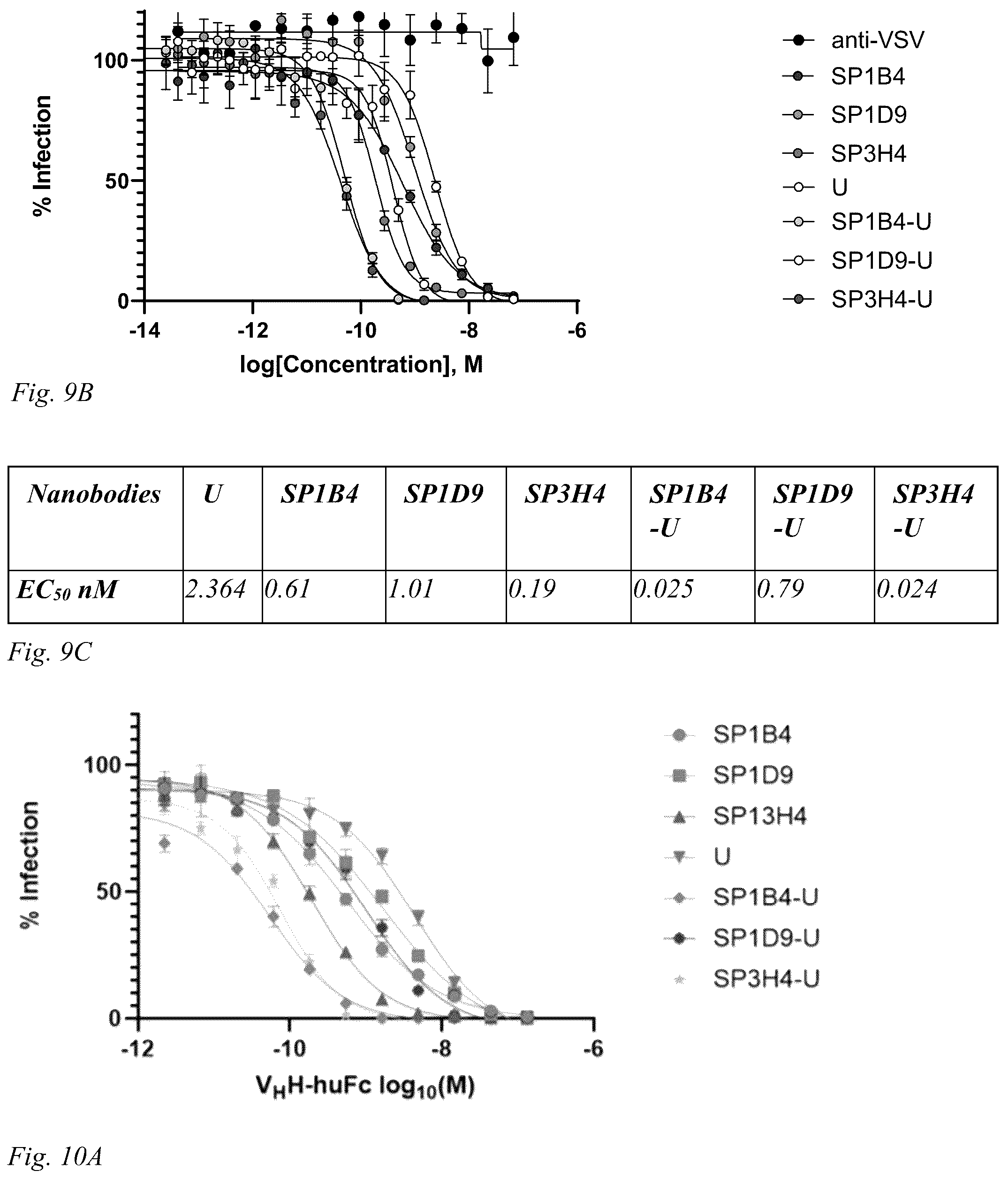 Patent US12098186 Figure 6 – Multivalent anti-SARS-CoV-2 nanobodies