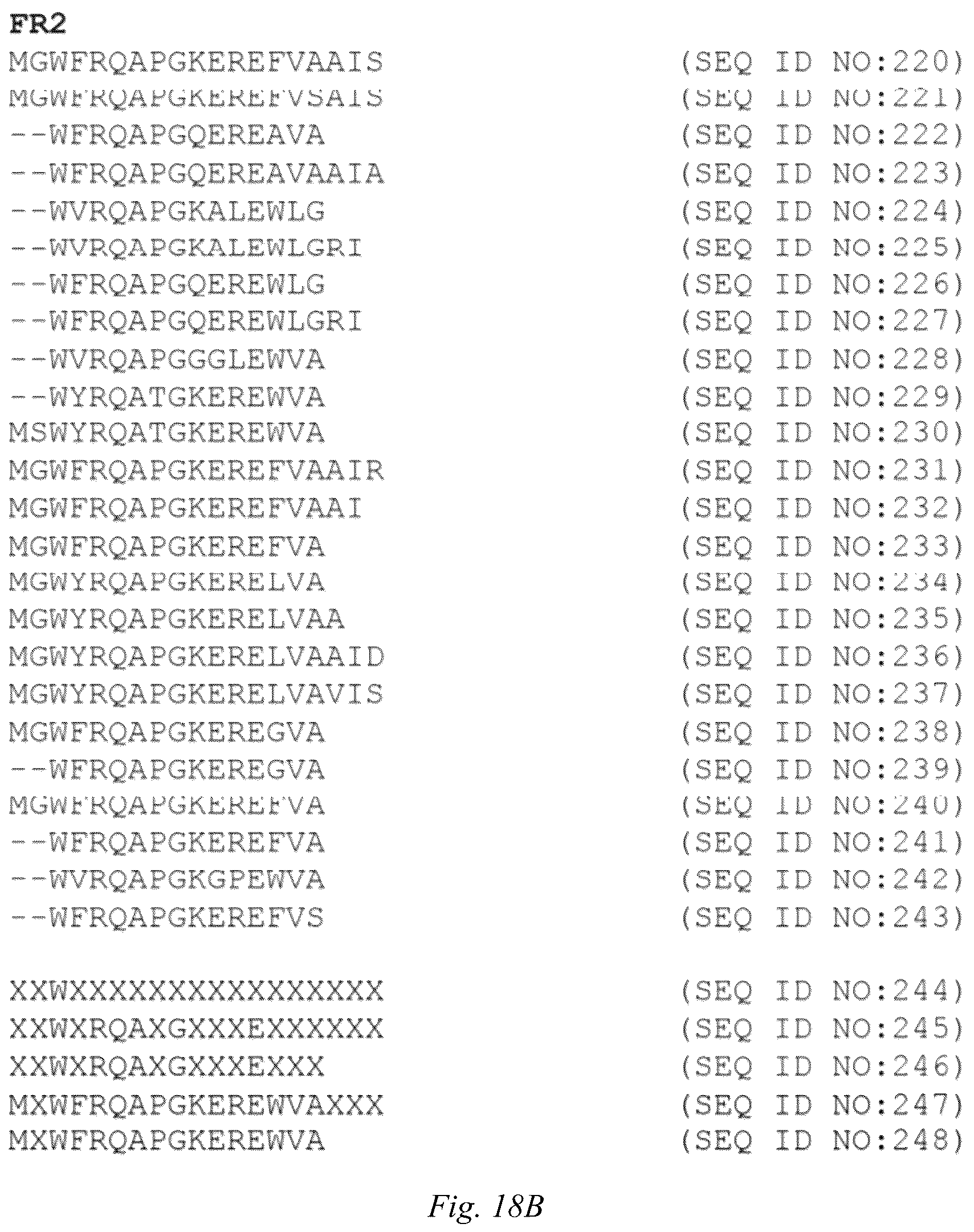 Patent US12098186 Figure 14 – Multivalent anti-SARS-CoV-2 nanobodies