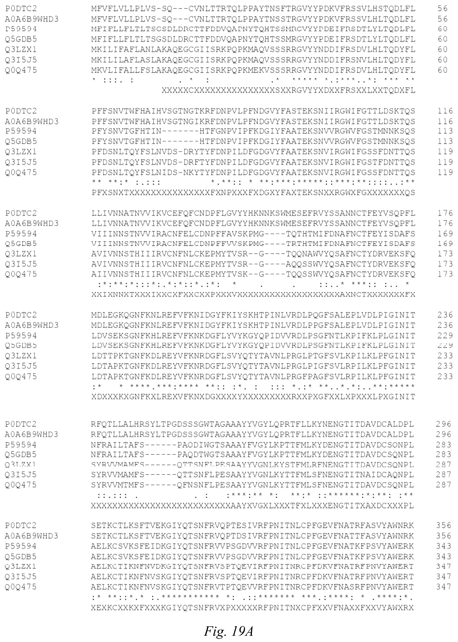 Patent US12098186 Figure 17 – Multivalent anti-SARS-CoV-2 nanobodies