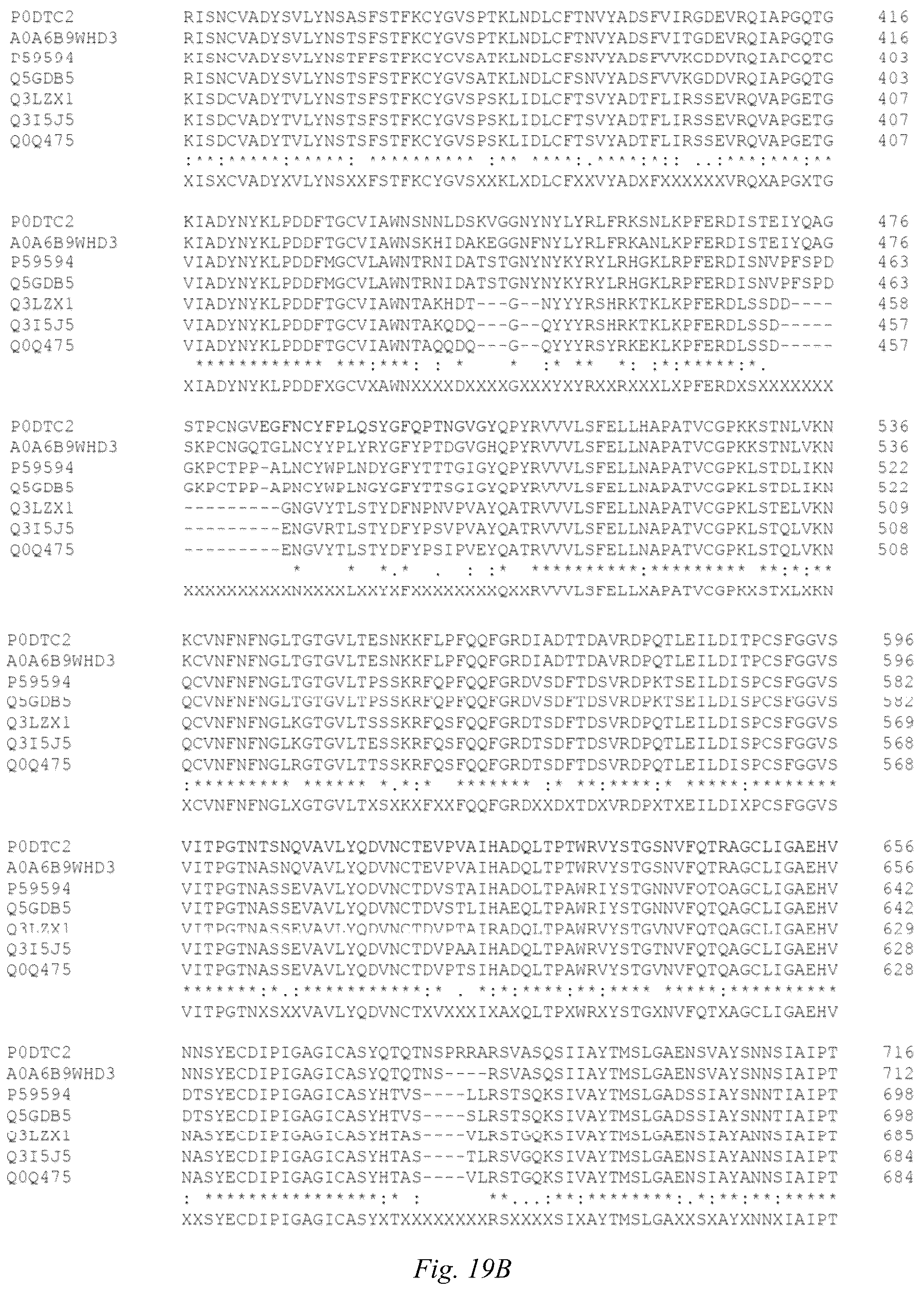 Patent US12098186 Figure 18 – Multivalent anti-SARS-CoV-2 nanobodies
