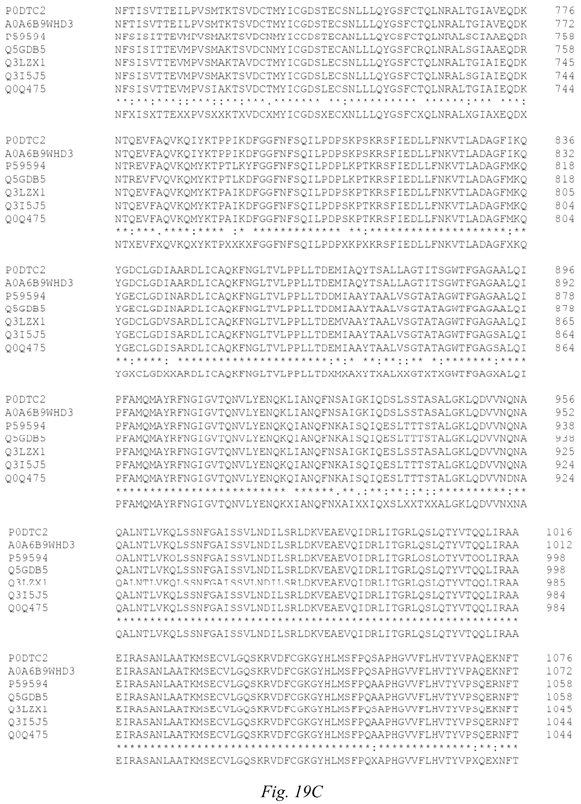 Patent US12098186 Figure 19 – Multivalent anti-SARS-CoV-2 nanobodies