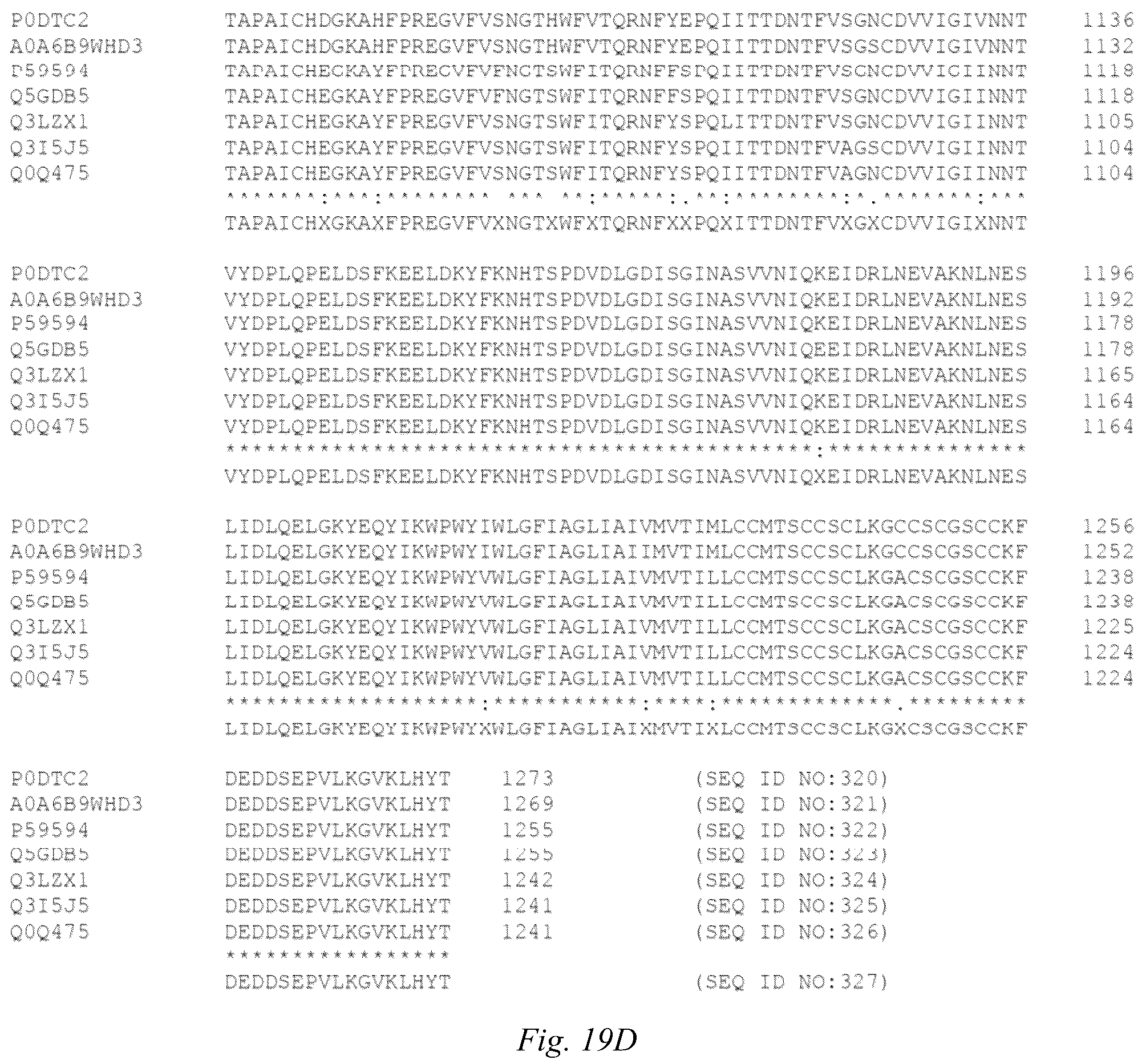 Patent US12098186 Figure 20 – Multivalent anti-SARS-CoV-2 nanobodies