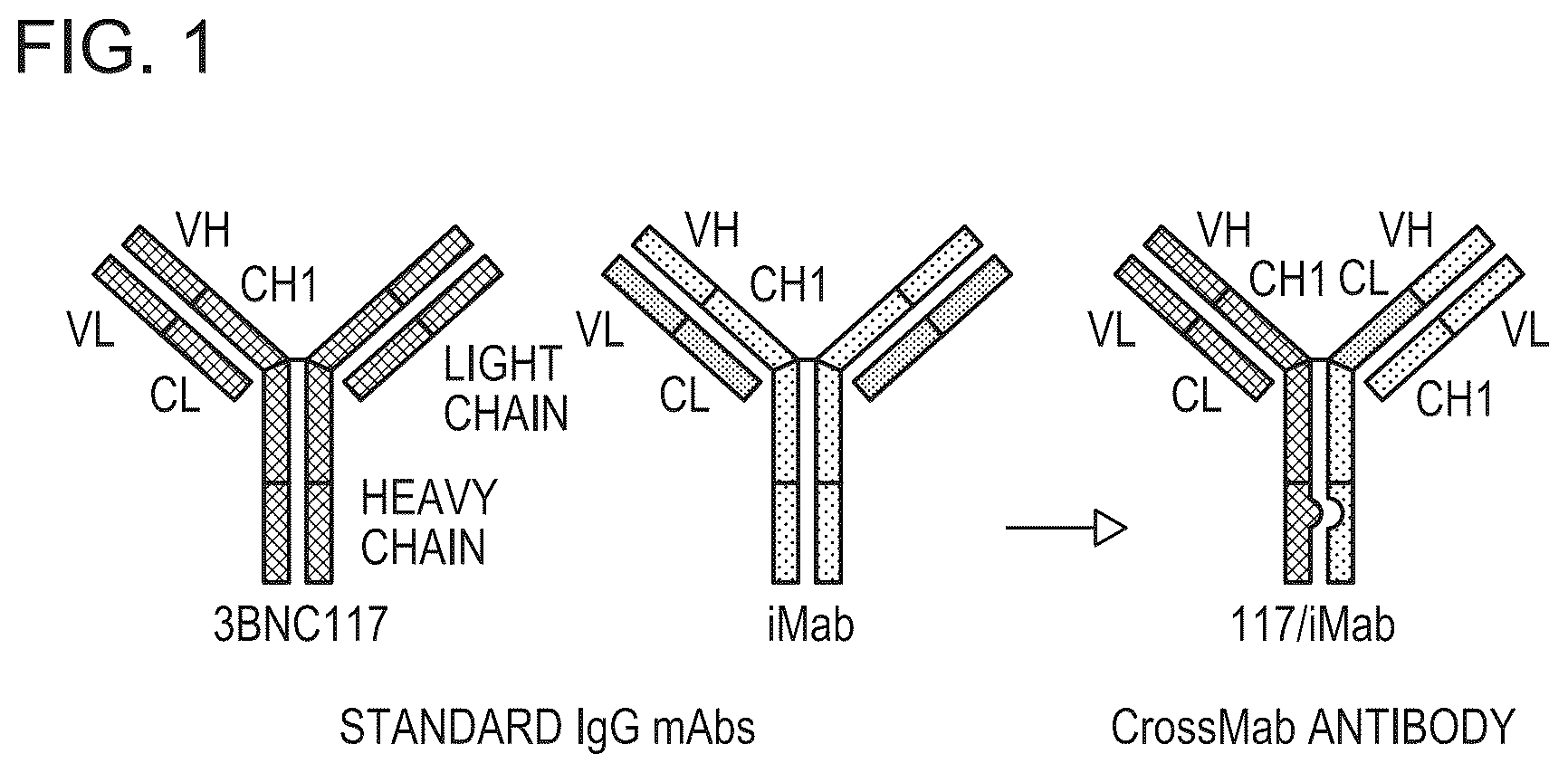 Patent US12098187 Figure 1 – Bispecific HIV-1-neutralizing antibodies