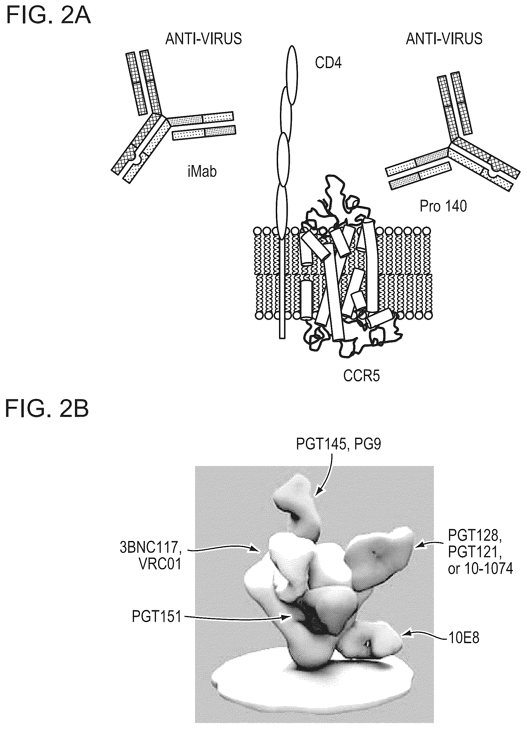 Patent US12098187 Figure 2 – Bispecific HIV-1-neutralizing antibodies