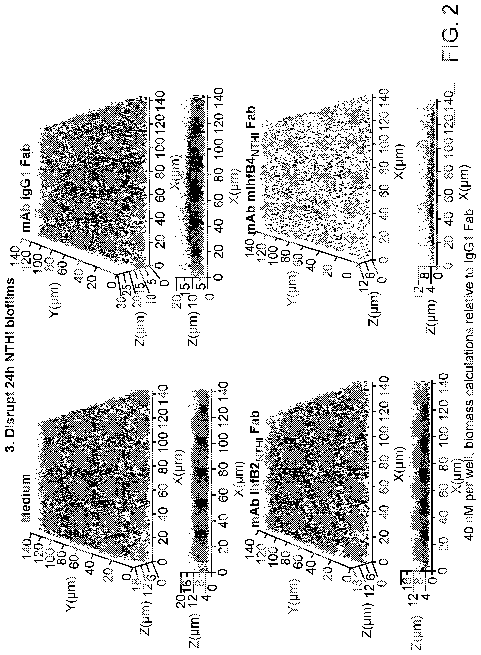 Patent US12098188 Figure 2 – Antibody fragments for the treatment of biofilm-related disorders