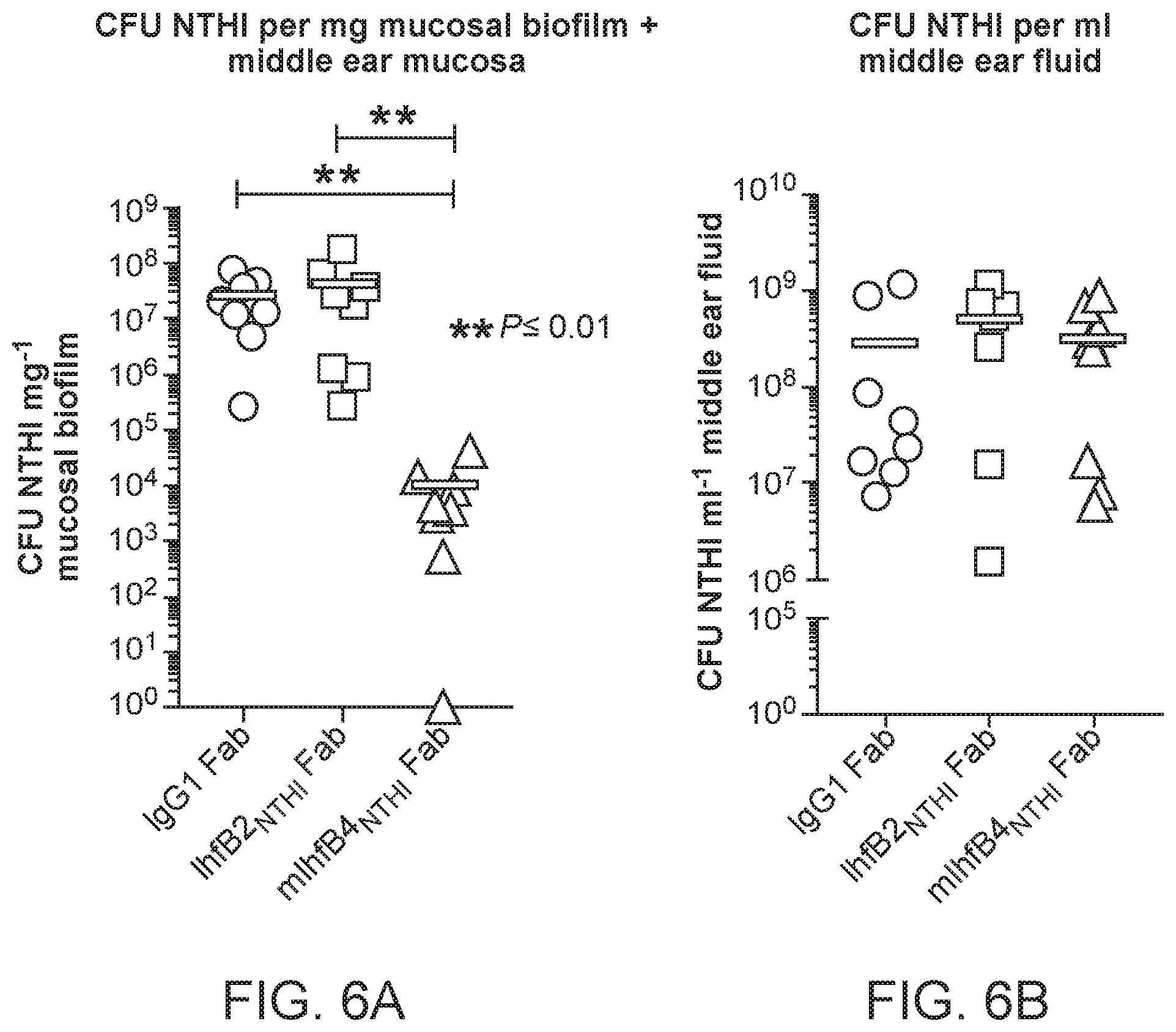 Patent US12098188 Figure 7 – Antibody fragments for the treatment of biofilm-related disorders