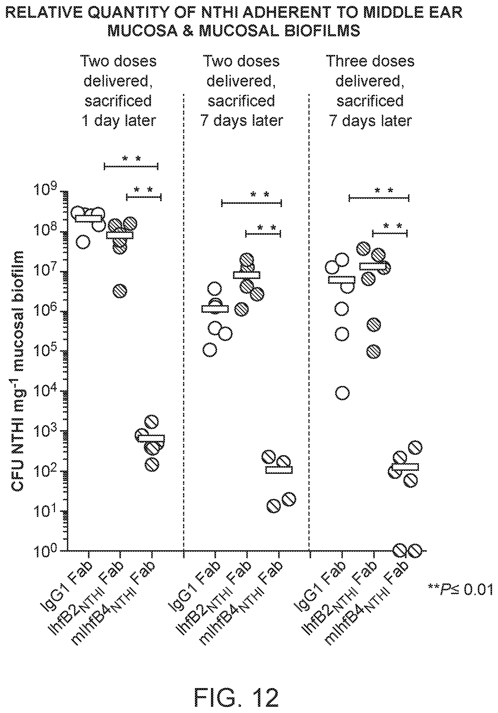 Patent US12098188 Figure 14 – Antibody fragments for the treatment of biofilm-related disorders