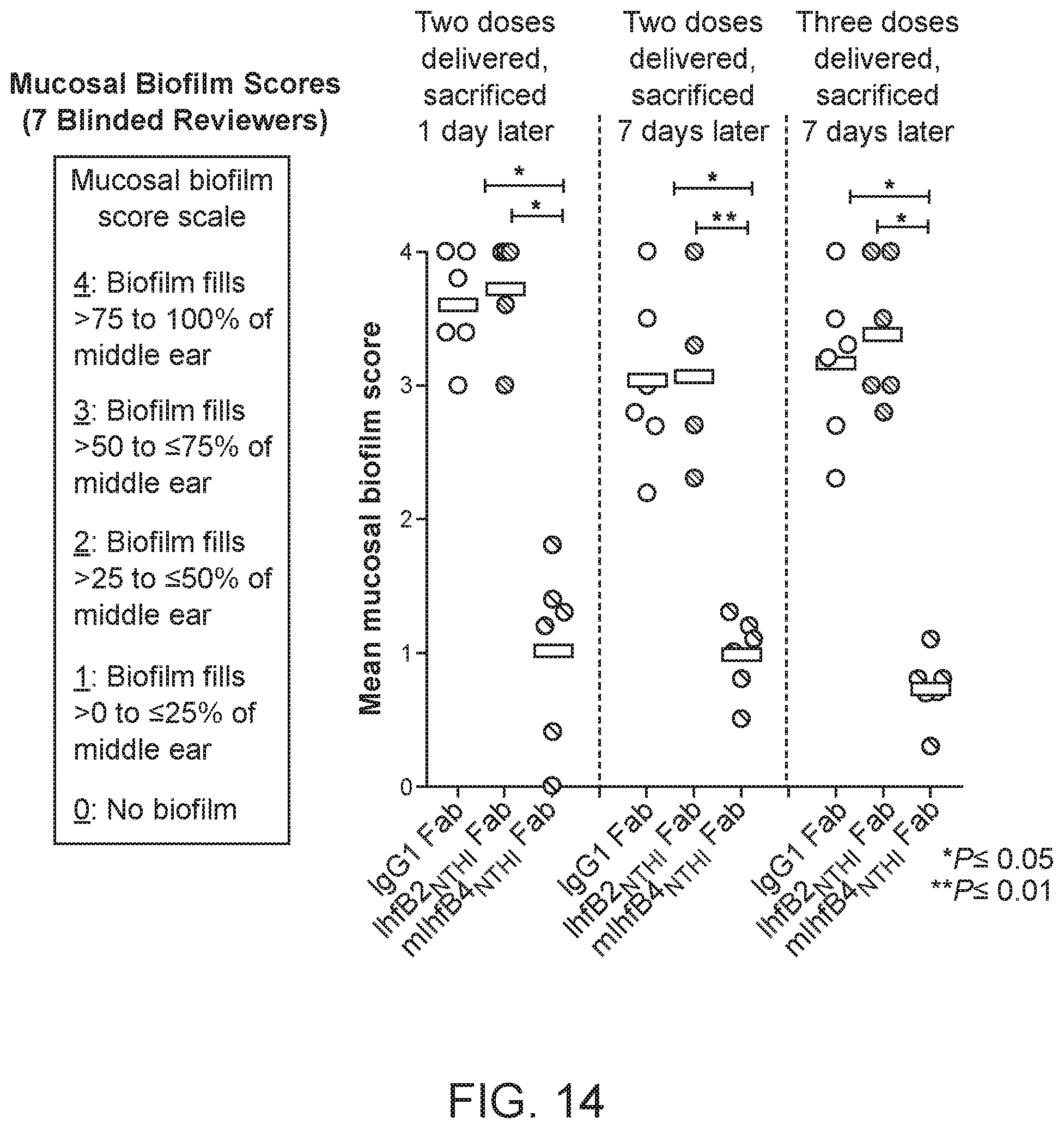 Patent US12098188 Figure 16 – Antibody fragments for the treatment of biofilm-related disorders