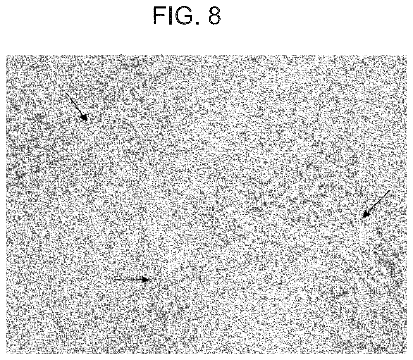 Patent US12098189 Figure 8 – Composition and method for the diagnosis and treatment of iron-related disorders