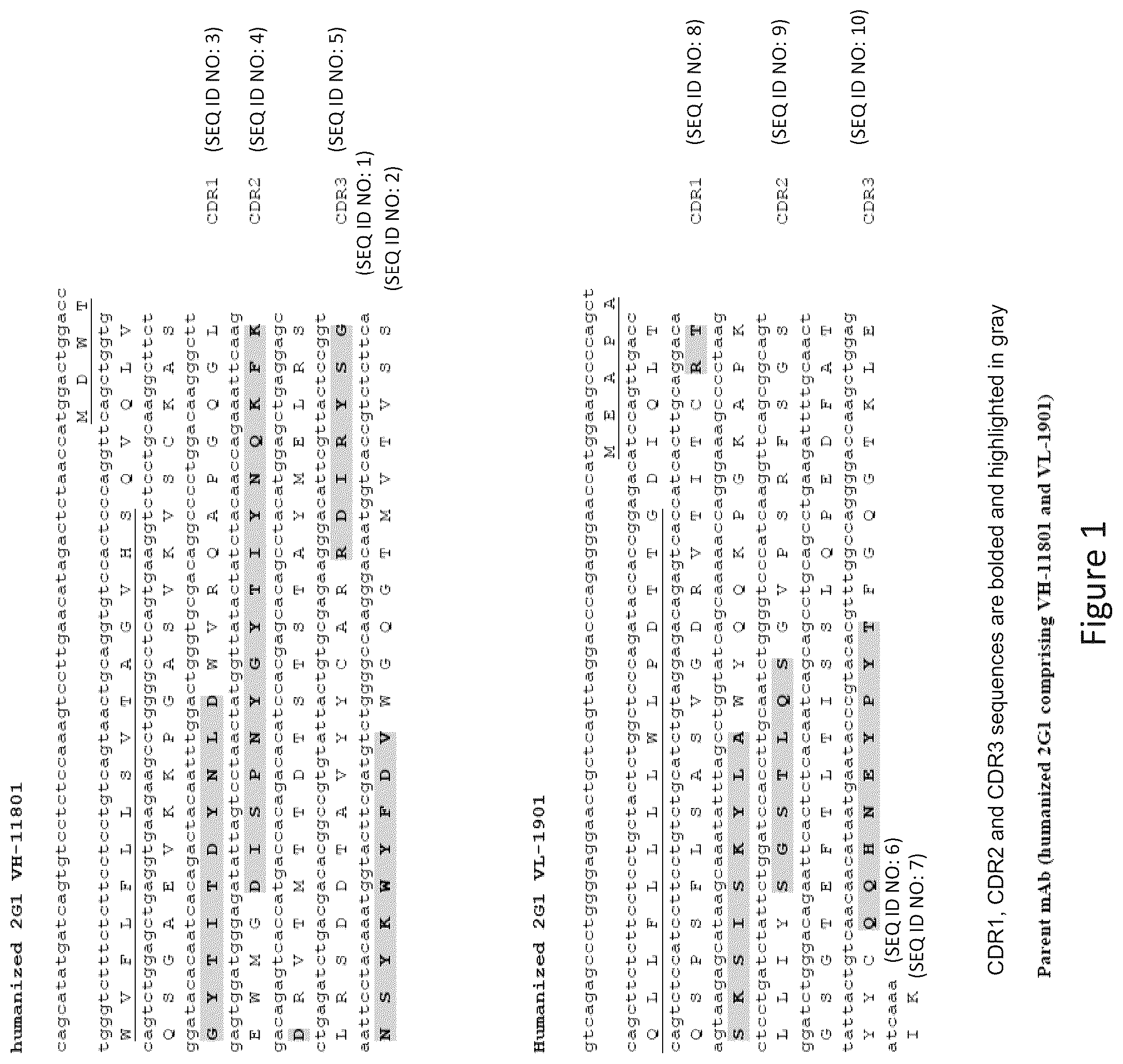 Patent US12098190 Figure 1 – Humanized anti-C5 antibodies and uses thereof