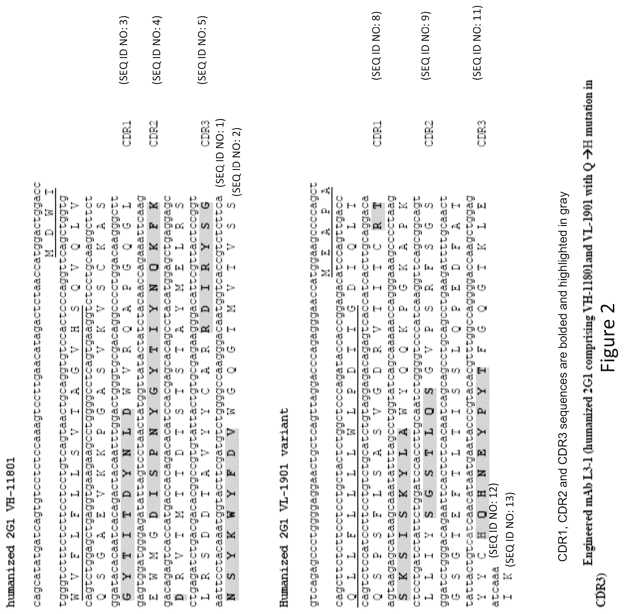 Patent US12098190 Figure 2 – Humanized anti-C5 antibodies and uses thereof