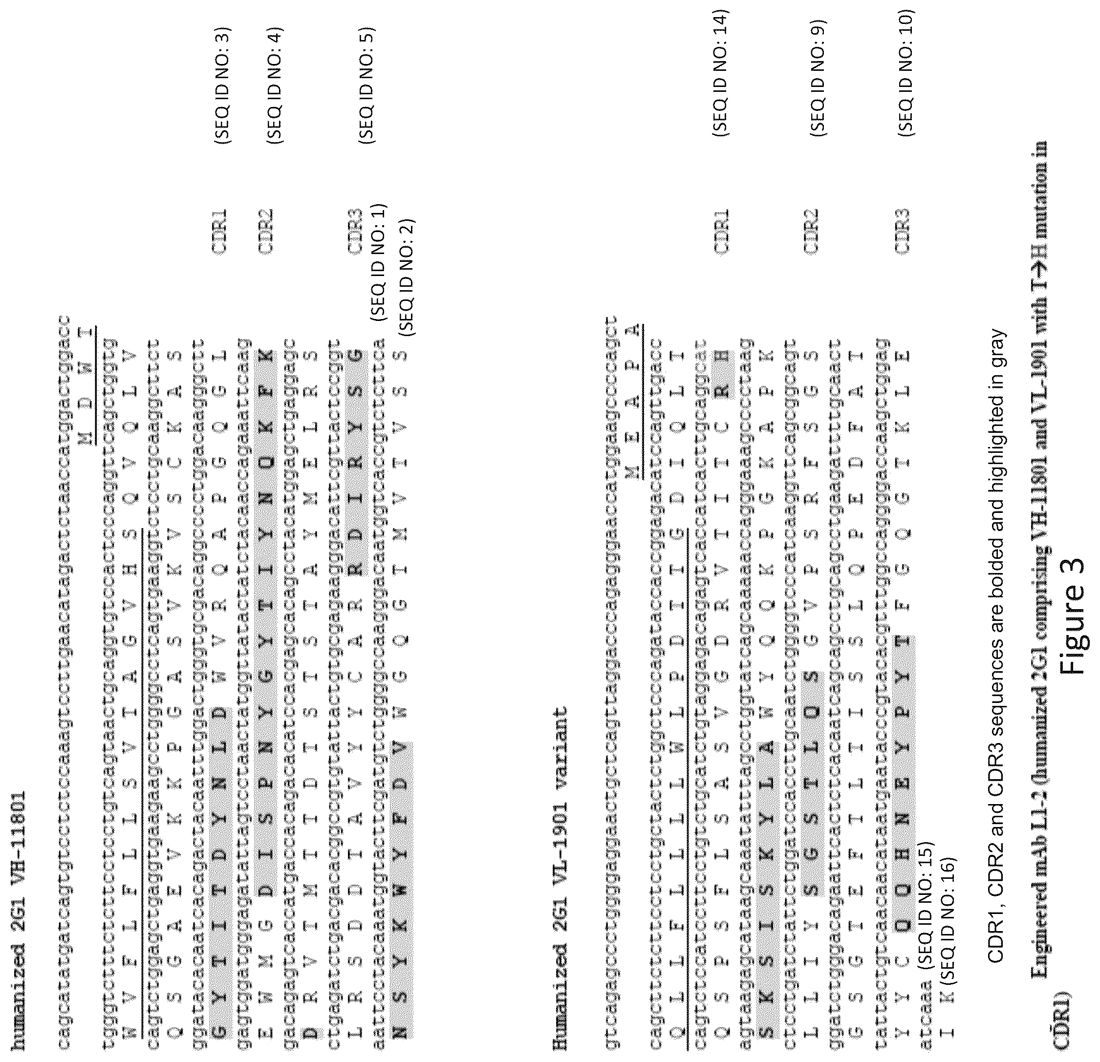 Patent US12098190 Figure 3 – Humanized anti-C5 antibodies and uses thereof