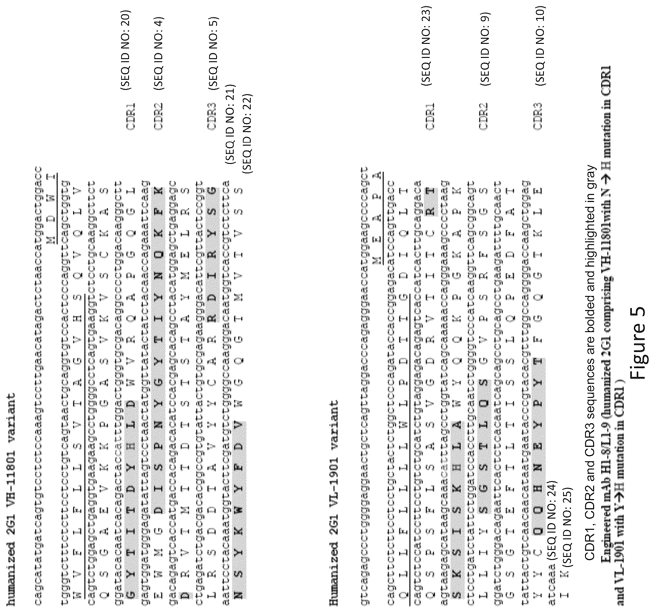 Patent US12098190 Figure 5 – Humanized anti-C5 antibodies and uses thereof