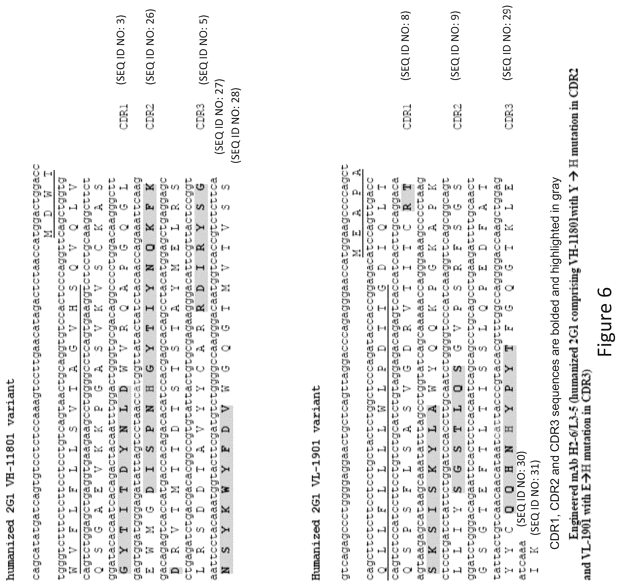 Patent US12098190 Figure 6 – Humanized anti-C5 antibodies and uses thereof