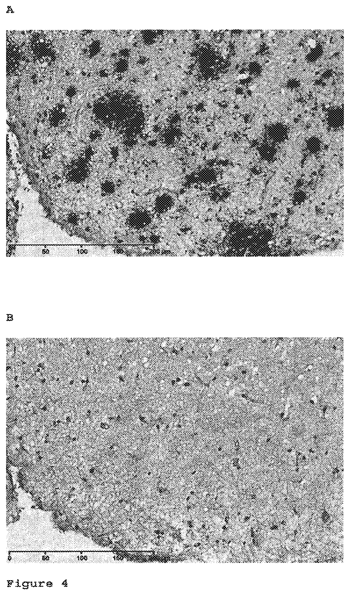 Patent US12098191 Figure 3 – Antibodies to amyloid beta