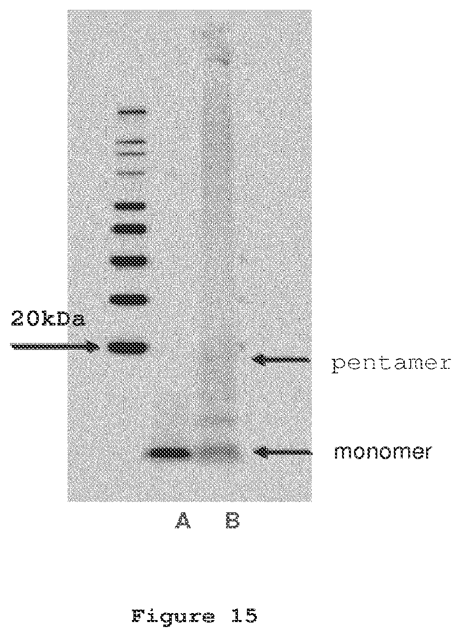 Patent US12098191 Figure 15 – Antibodies to amyloid beta