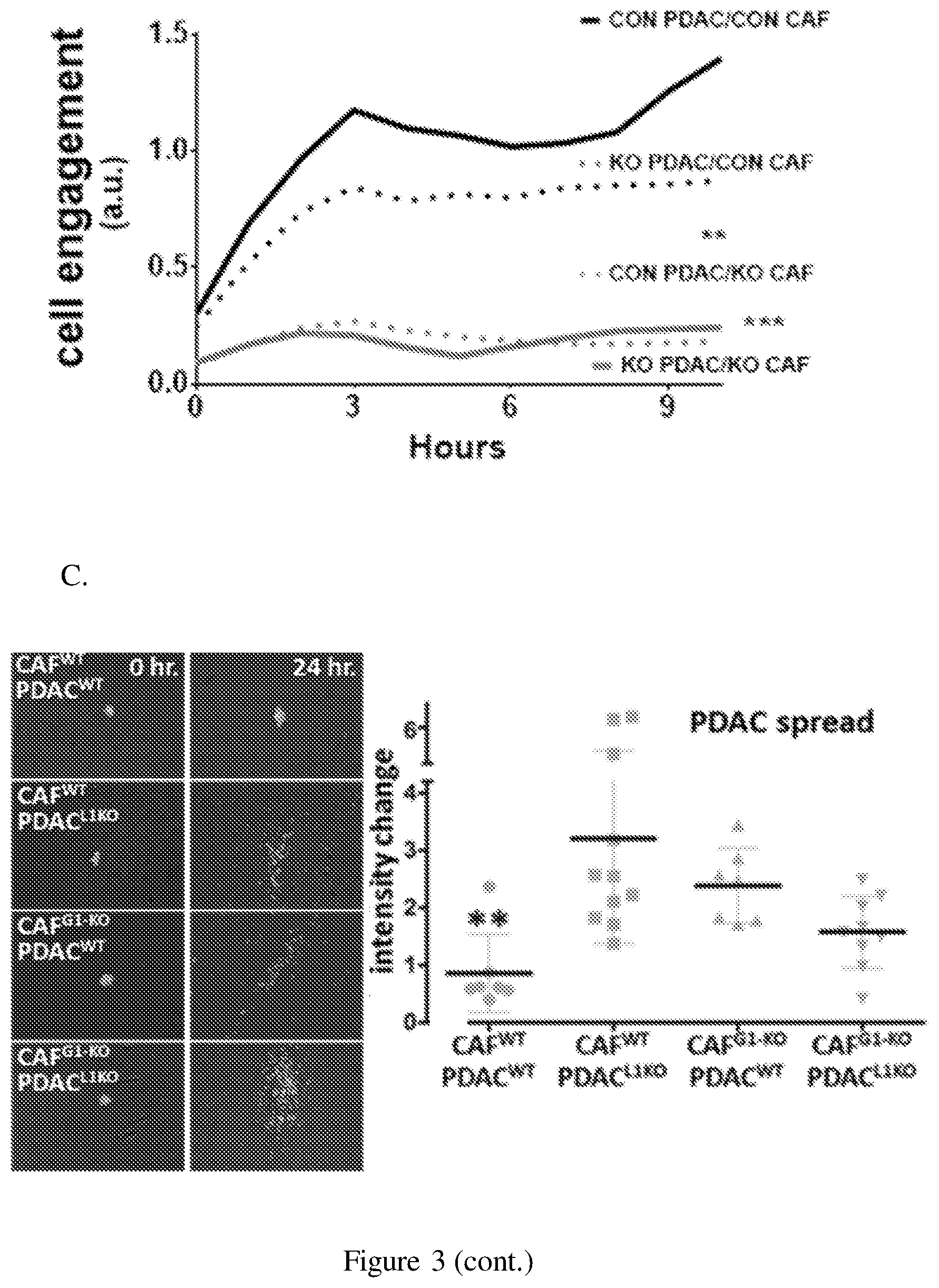 Patent US12098193 Figure 6 – Netrin G1 as a biomarker for enhancing tumor treatment efficacy