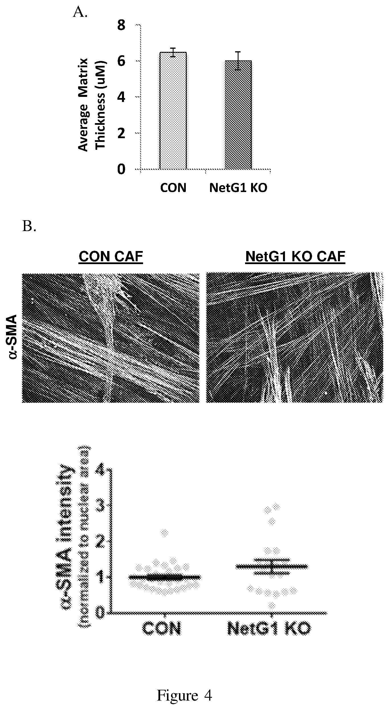 Patent US12098193 Figure 7 – Netrin G1 as a biomarker for enhancing tumor treatment efficacy