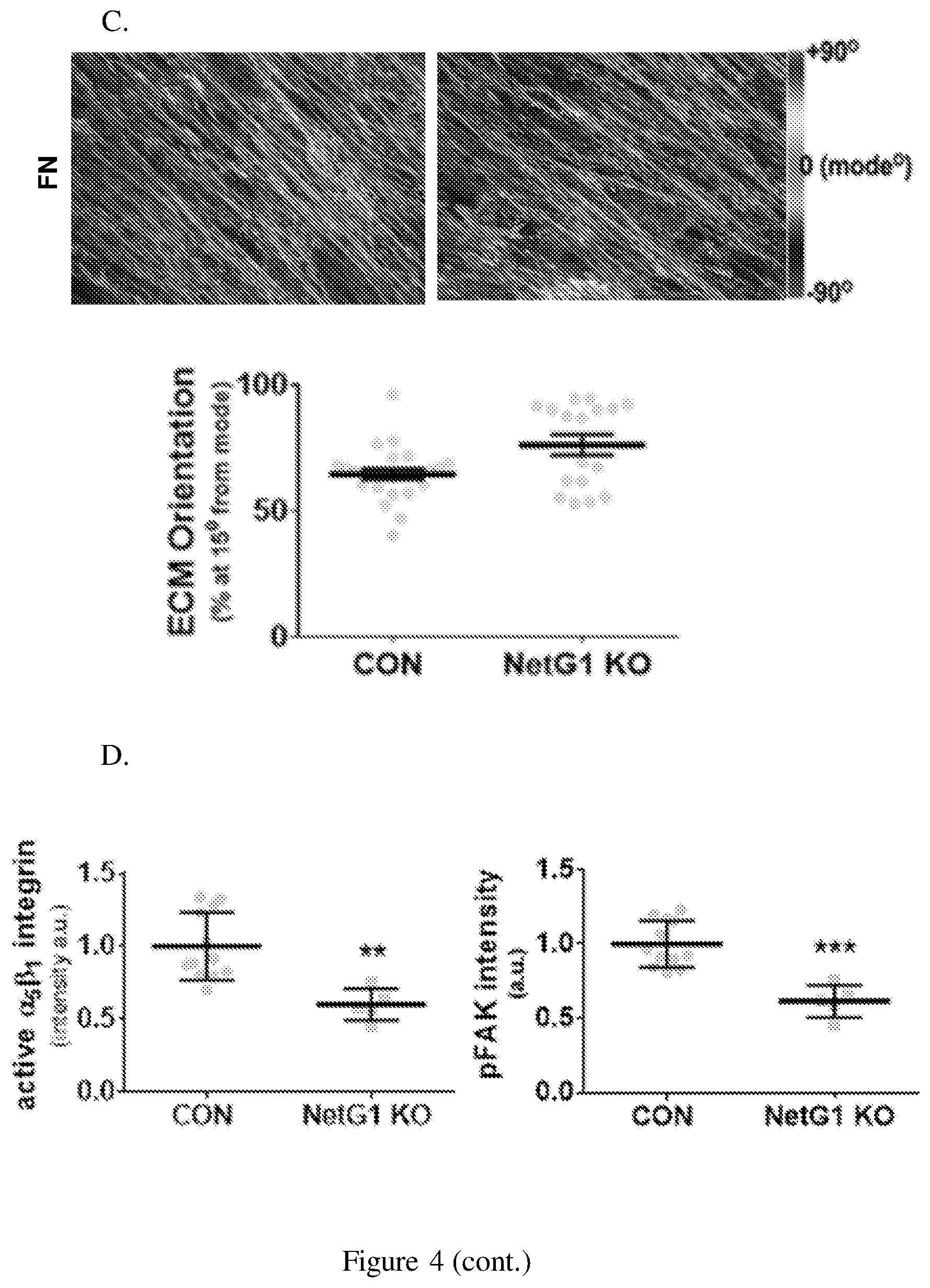 Patent US12098193 Figure 8 – Netrin G1 as a biomarker for enhancing tumor treatment efficacy
