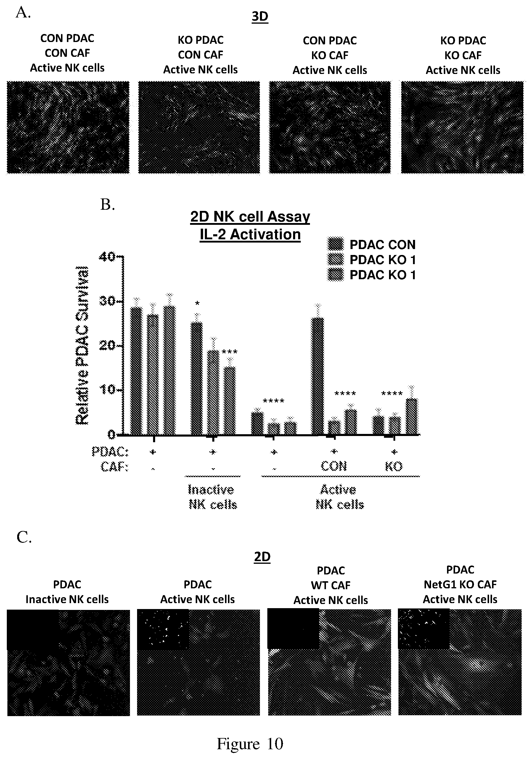 Patent US12098193 Figure 20 – Netrin G1 as a biomarker for enhancing tumor treatment efficacy