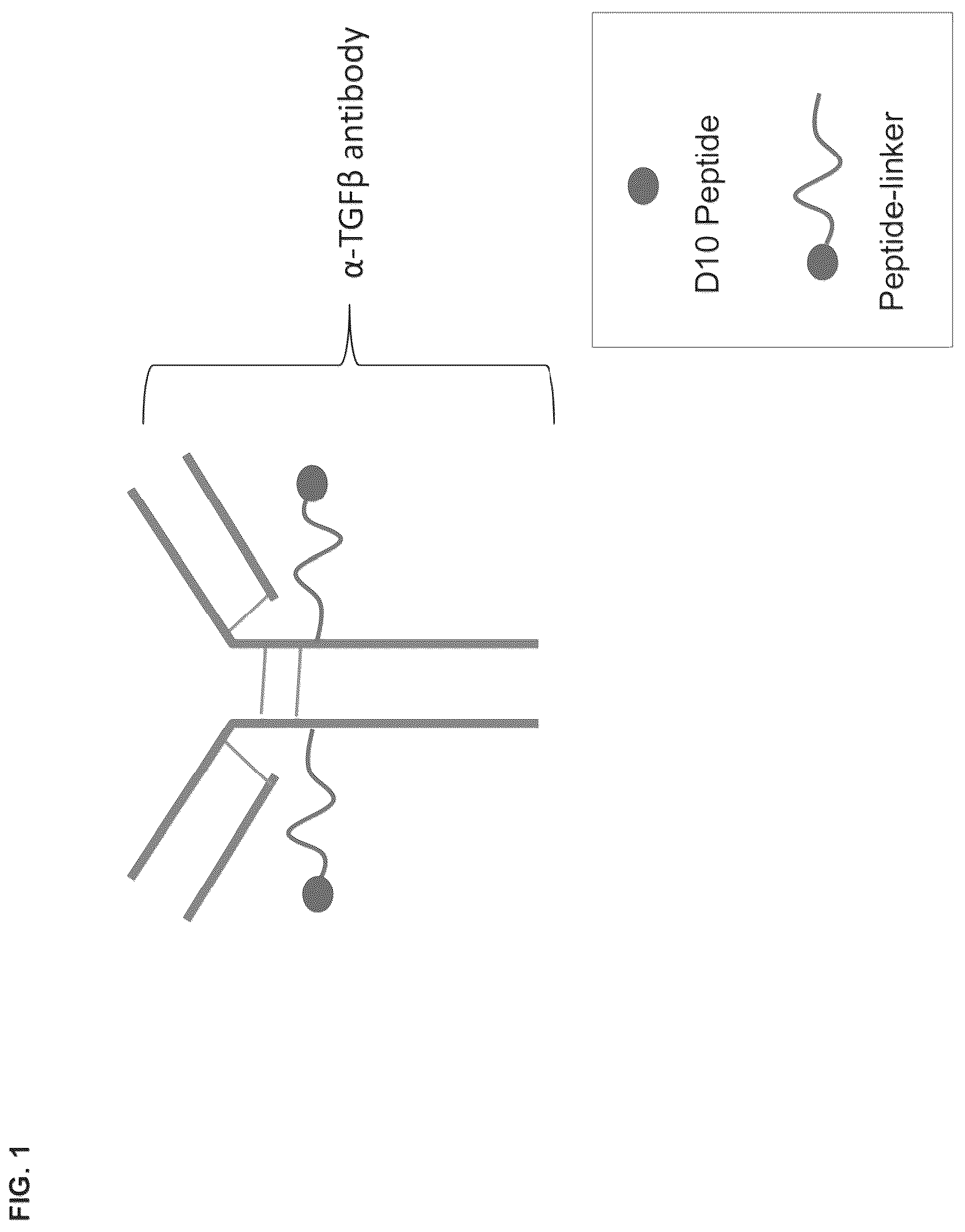 Patent US12098194 Figure 1 – Bone-targeting antibodies