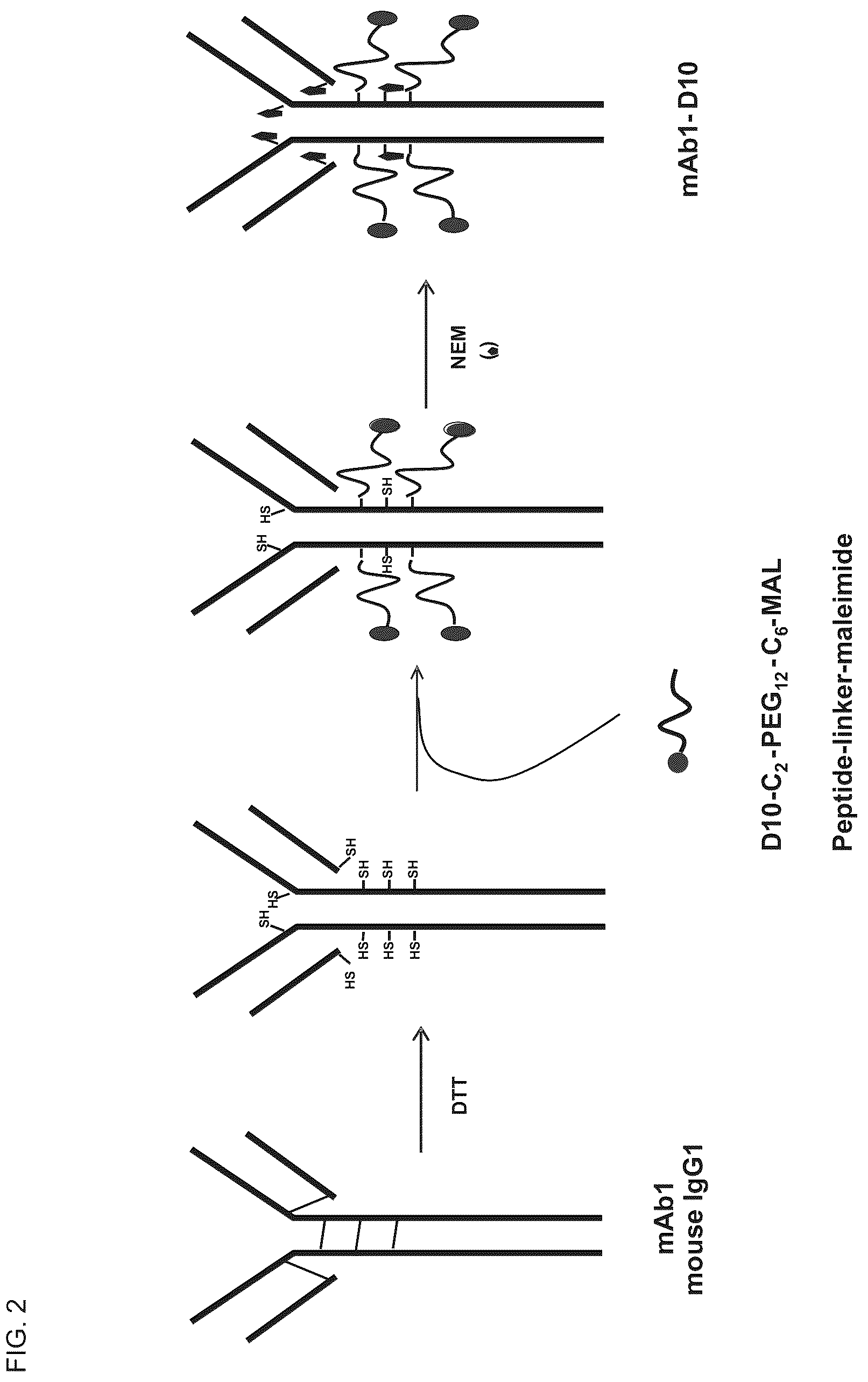 Patent US12098194 Figure 2 – Bone-targeting antibodies