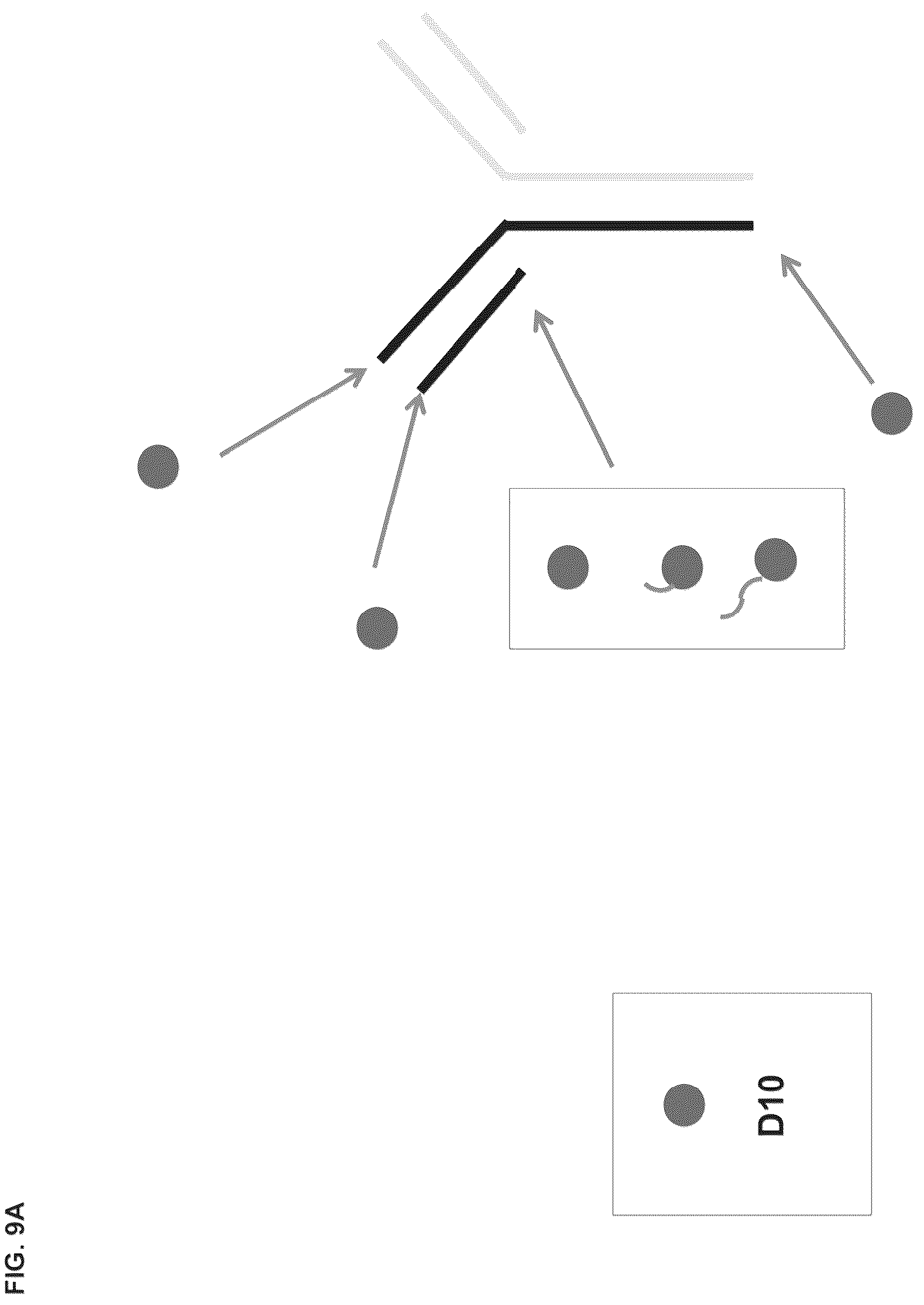 Patent US12098194 Figure 13 – Bone-targeting antibodies
