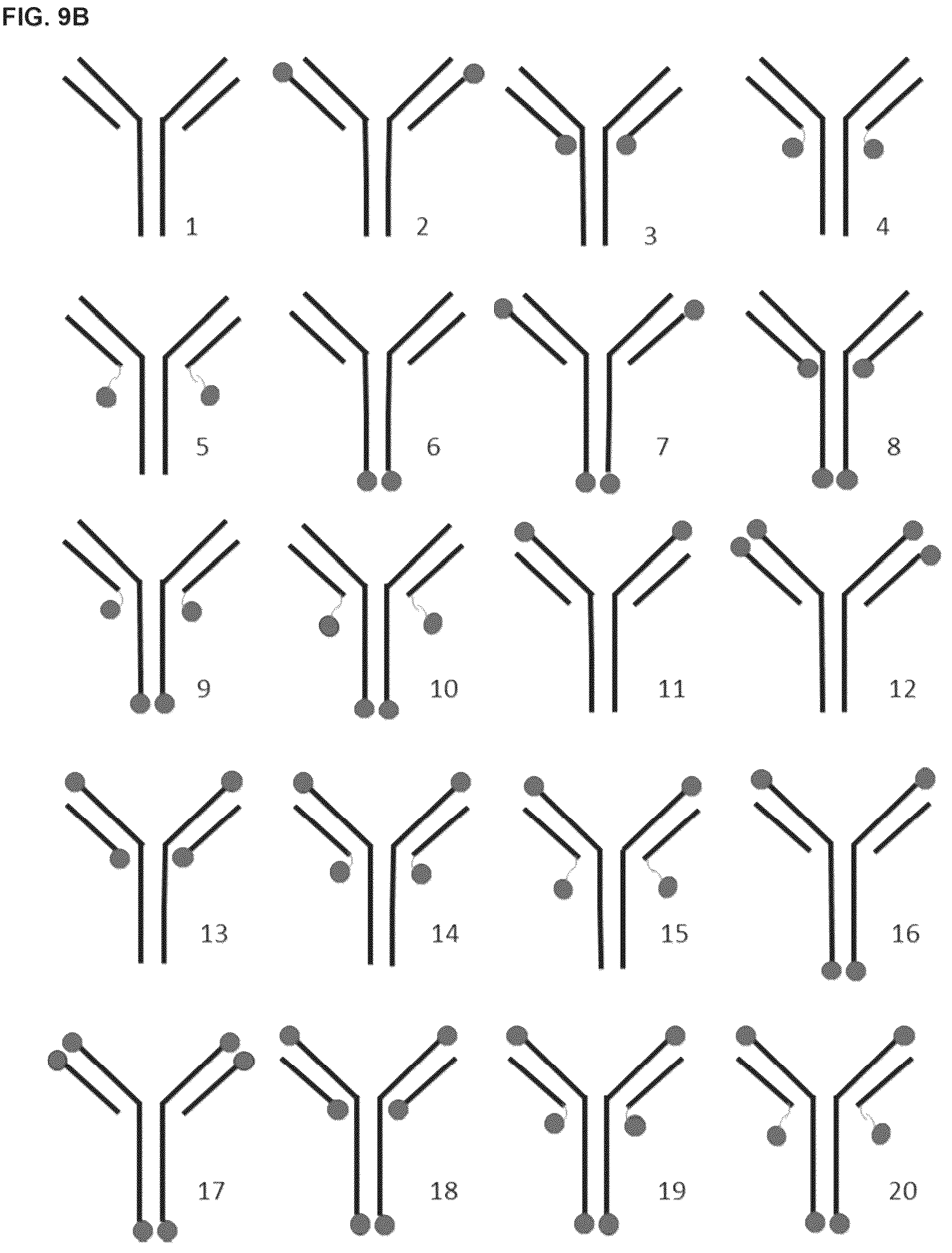 Patent US12098194 Figure 14 – Bone-targeting antibodies