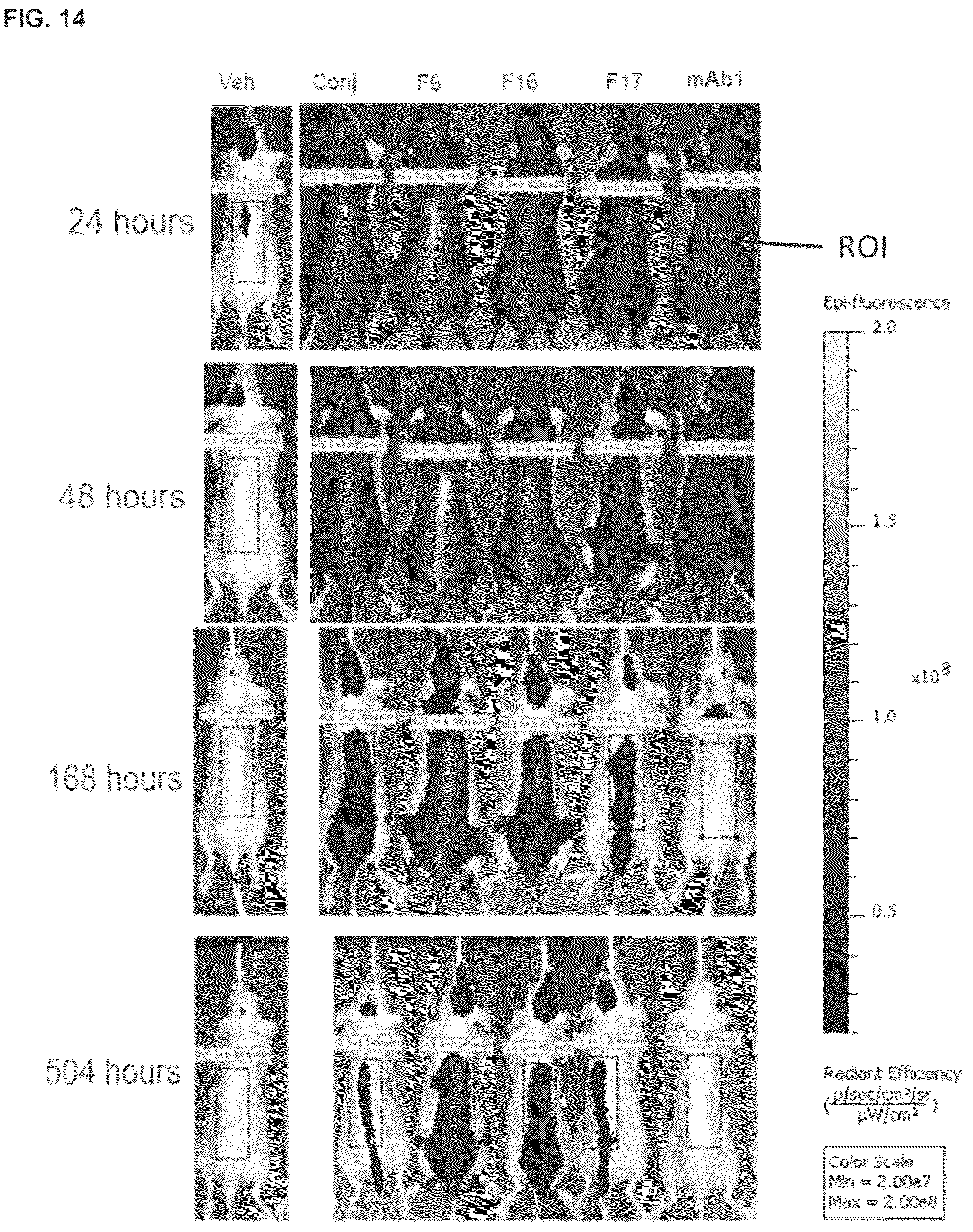 Patent US12098194 Figure 20 – Bone-targeting antibodies