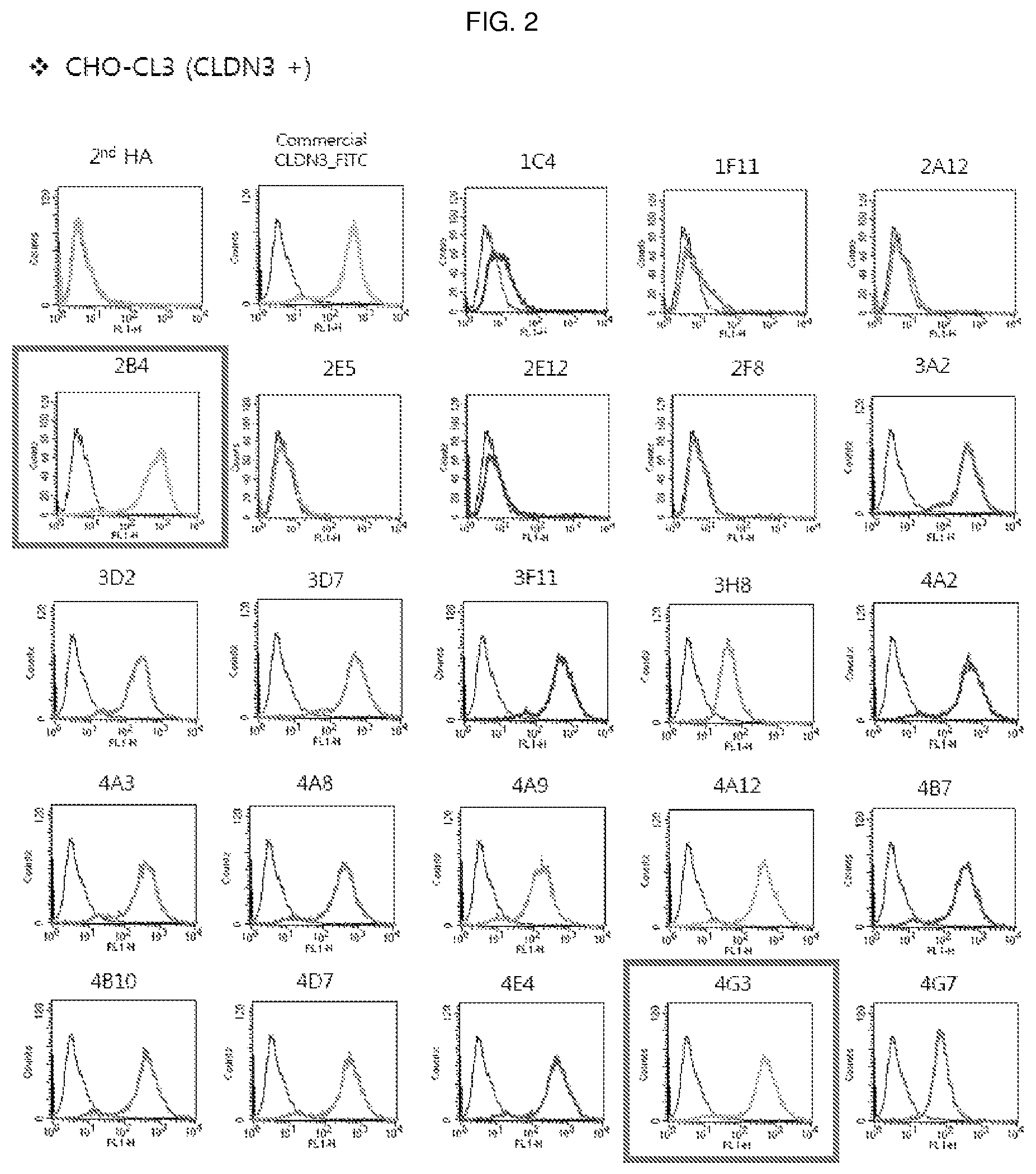 Patent US12098198 Figure 2 – Antibody binding specifically to ECL-2 of claudin 3, fragment thereof, and use thereof