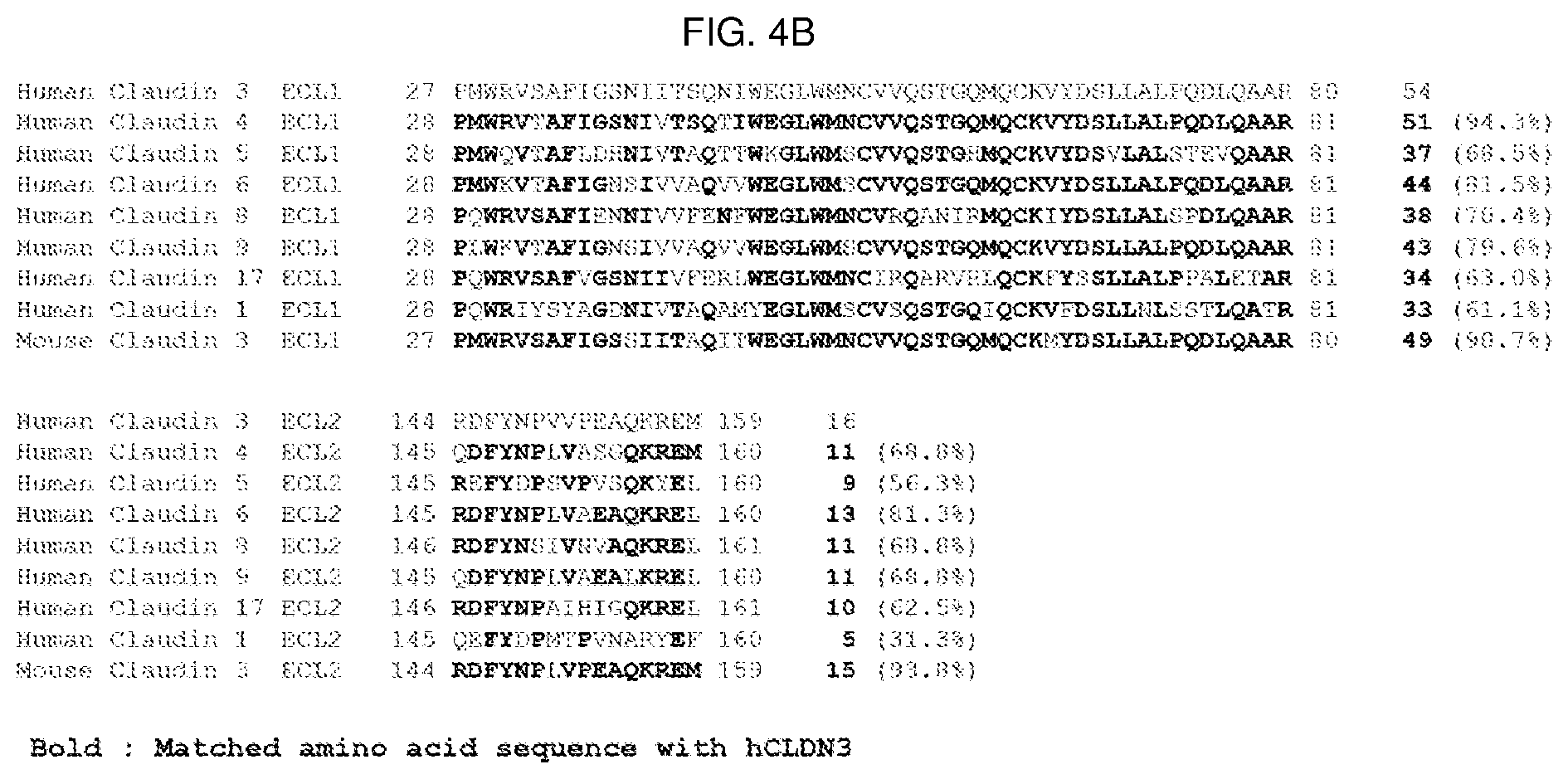 Patent US12098198 Figure 5 – Antibody binding specifically to ECL-2 of claudin 3, fragment thereof, and use thereof
