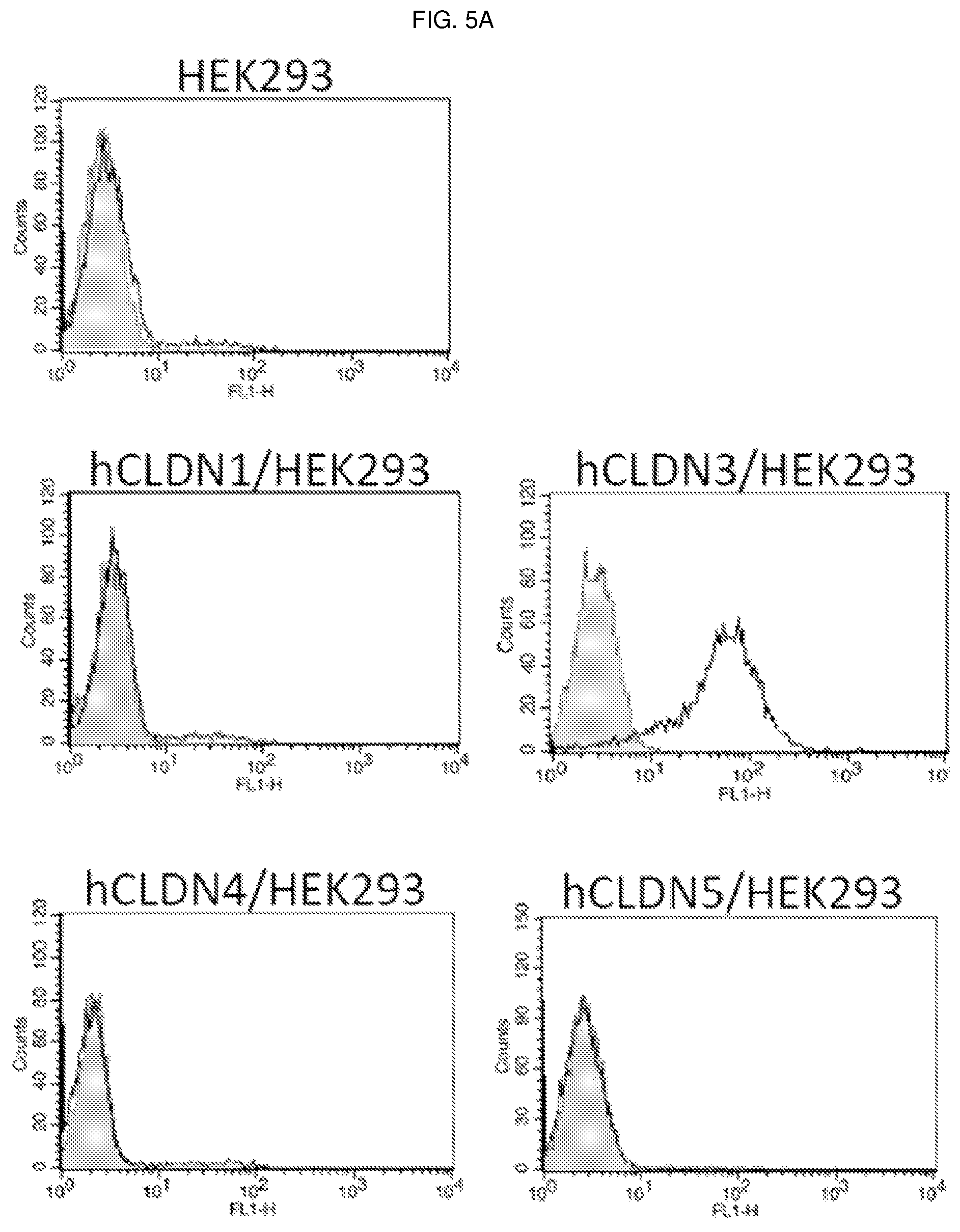 Patent US12098198 Figure 6 – Antibody binding specifically to ECL-2 of claudin 3, fragment thereof, and use thereof