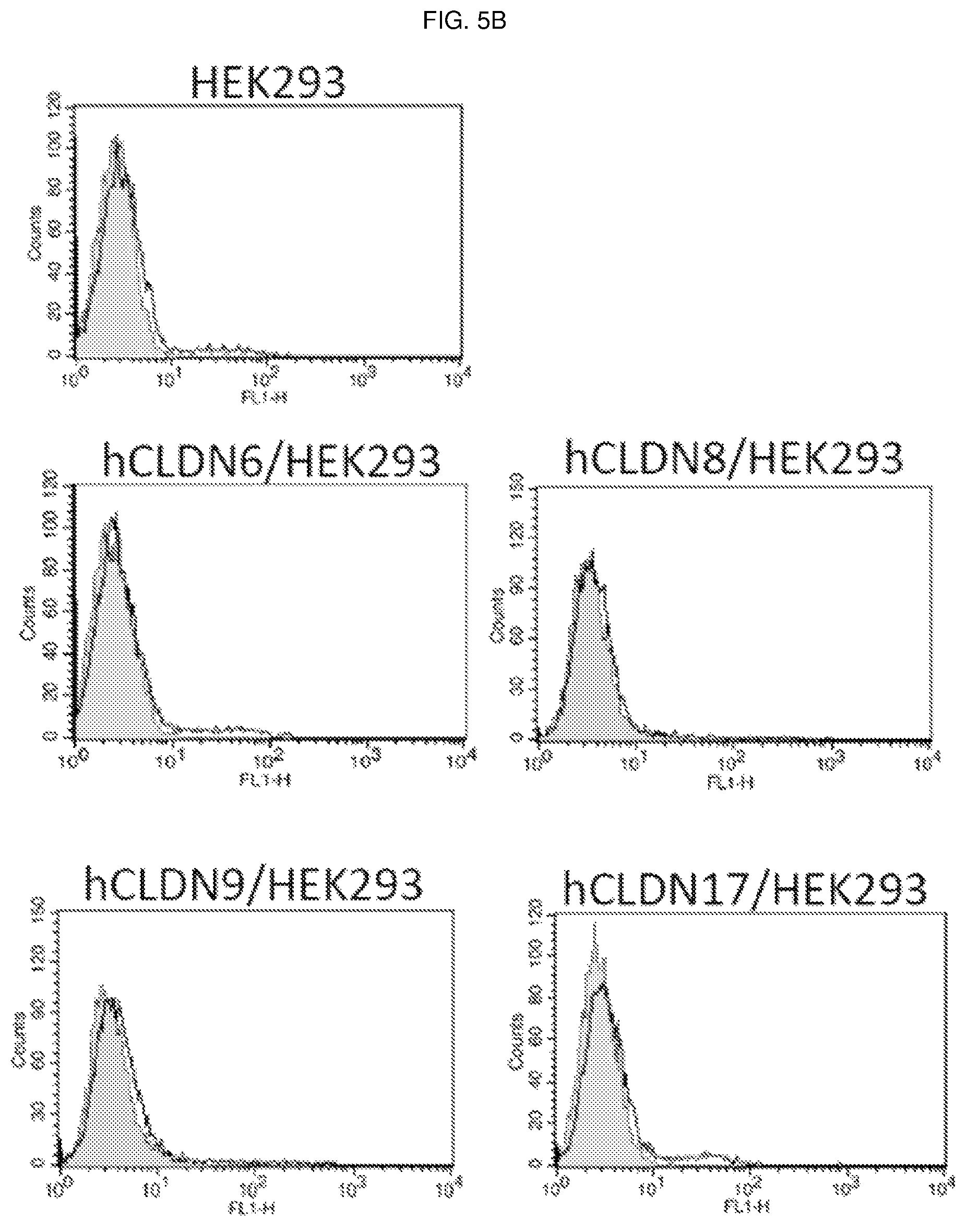 Patent US12098198 Figure 7 – Antibody binding specifically to ECL-2 of claudin 3, fragment thereof, and use thereof