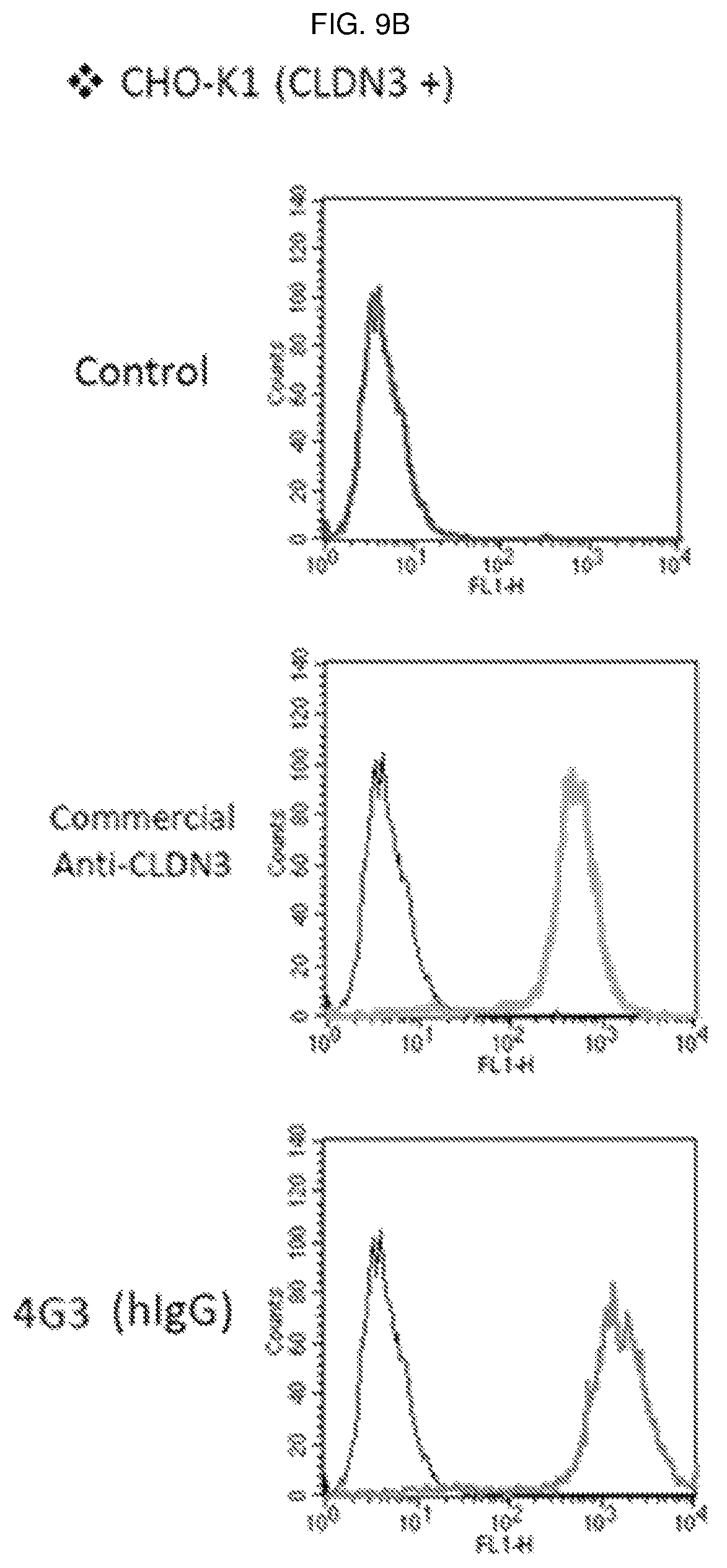 Patent US12098198 Figure 12 – Antibody binding specifically to ECL-2 of claudin 3, fragment thereof, and use thereof
