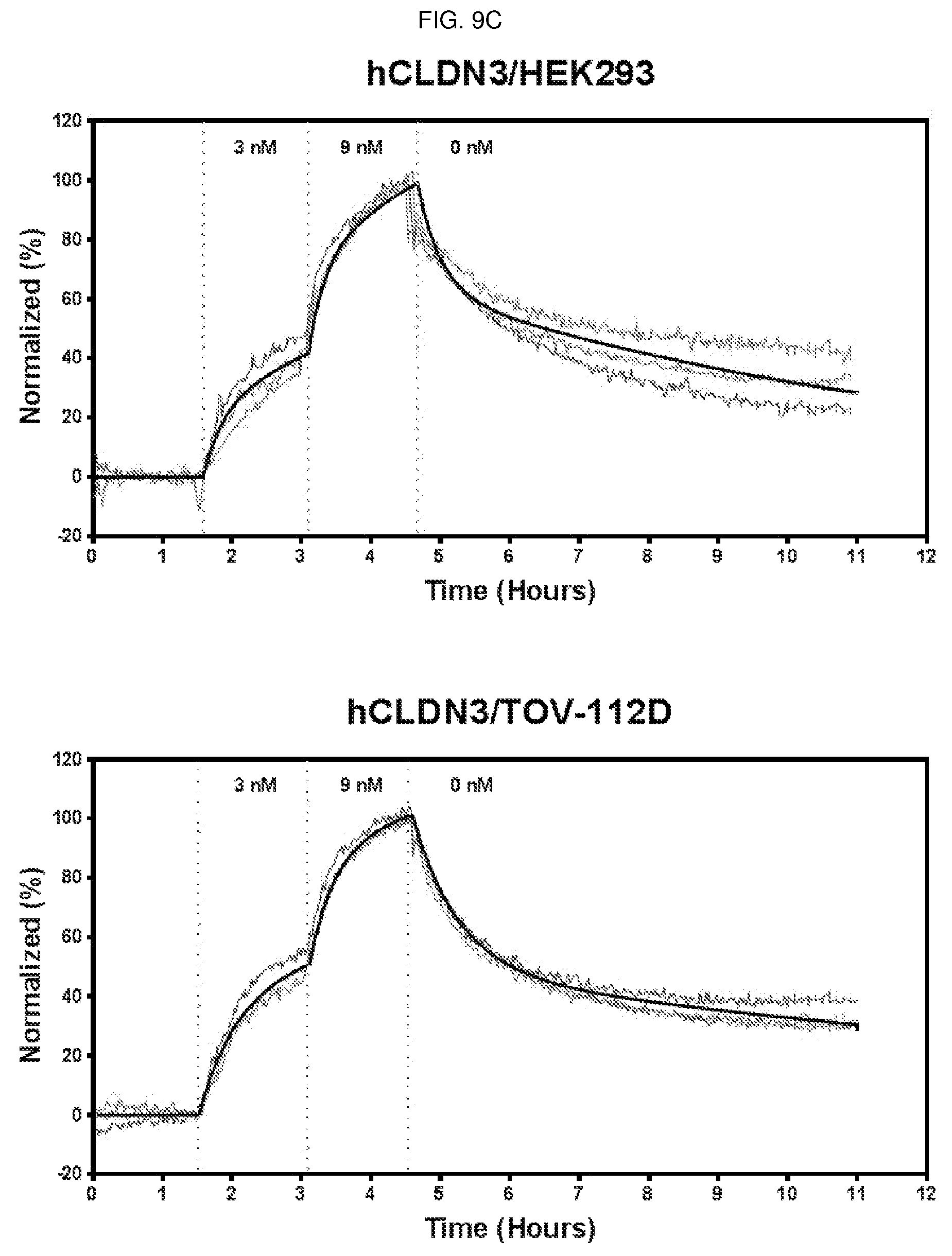Patent US12098198 Figure 13 – Antibody binding specifically to ECL-2 of claudin 3, fragment thereof, and use thereof