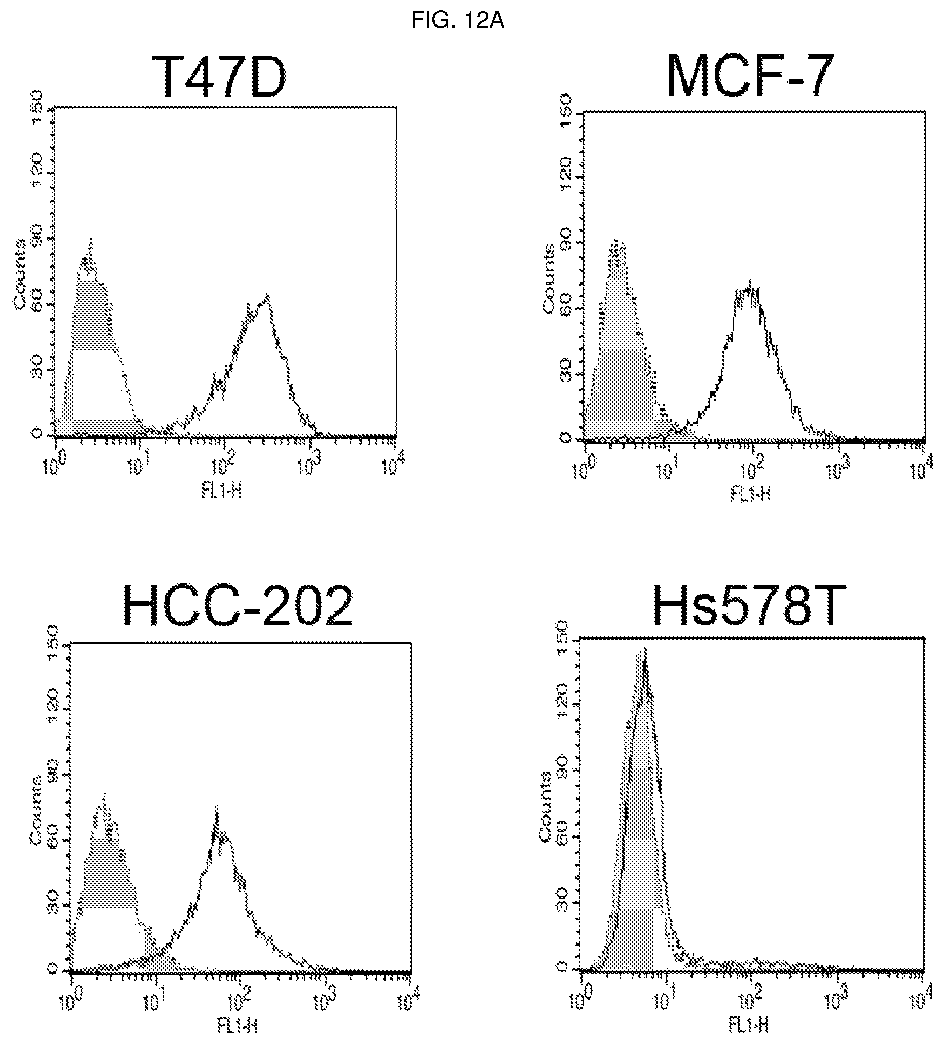 Patent US12098198 Figure 16 – Antibody binding specifically to ECL-2 of claudin 3, fragment thereof, and use thereof