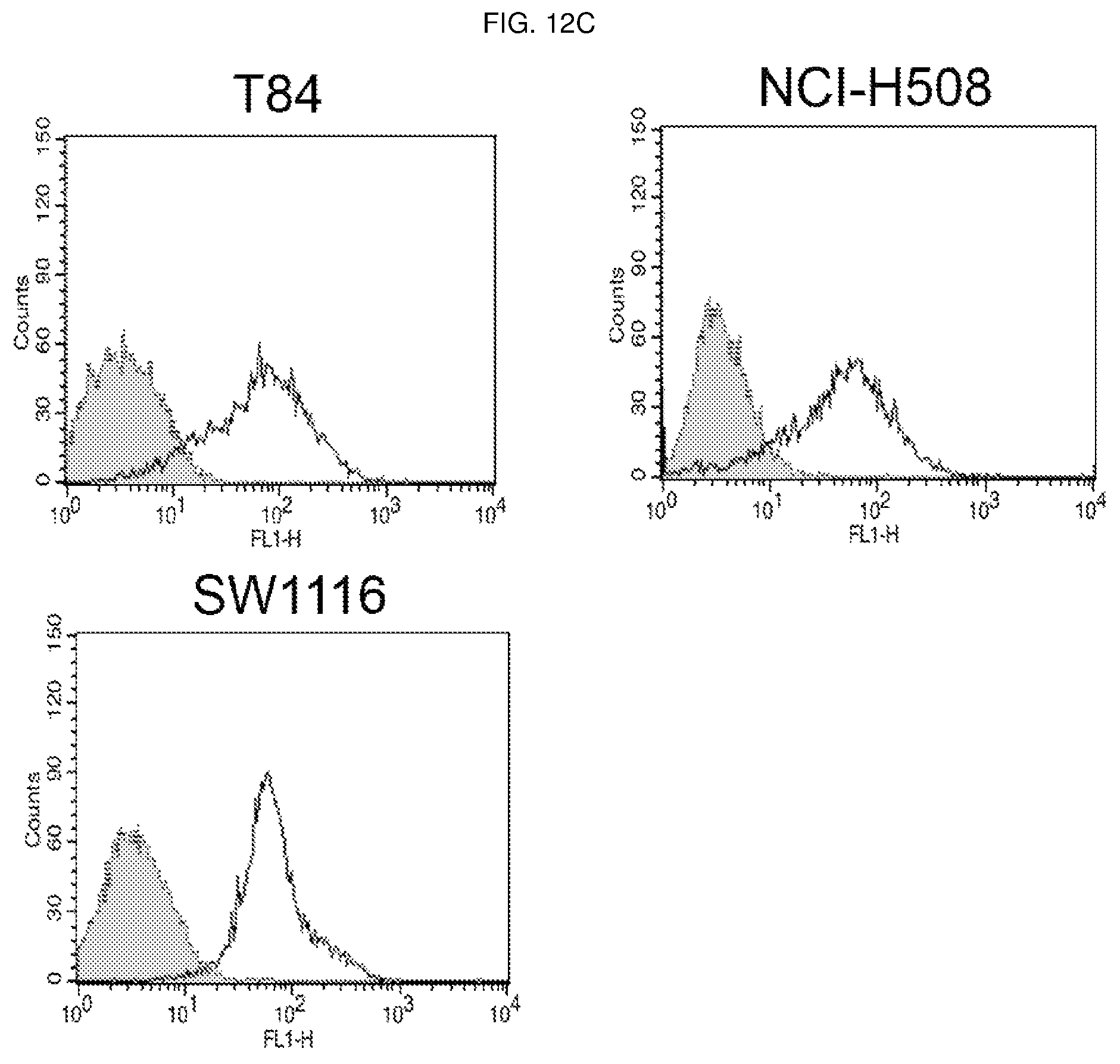 Patent US12098198 Figure 18 – Antibody binding specifically to ECL-2 of claudin 3, fragment thereof, and use thereof
