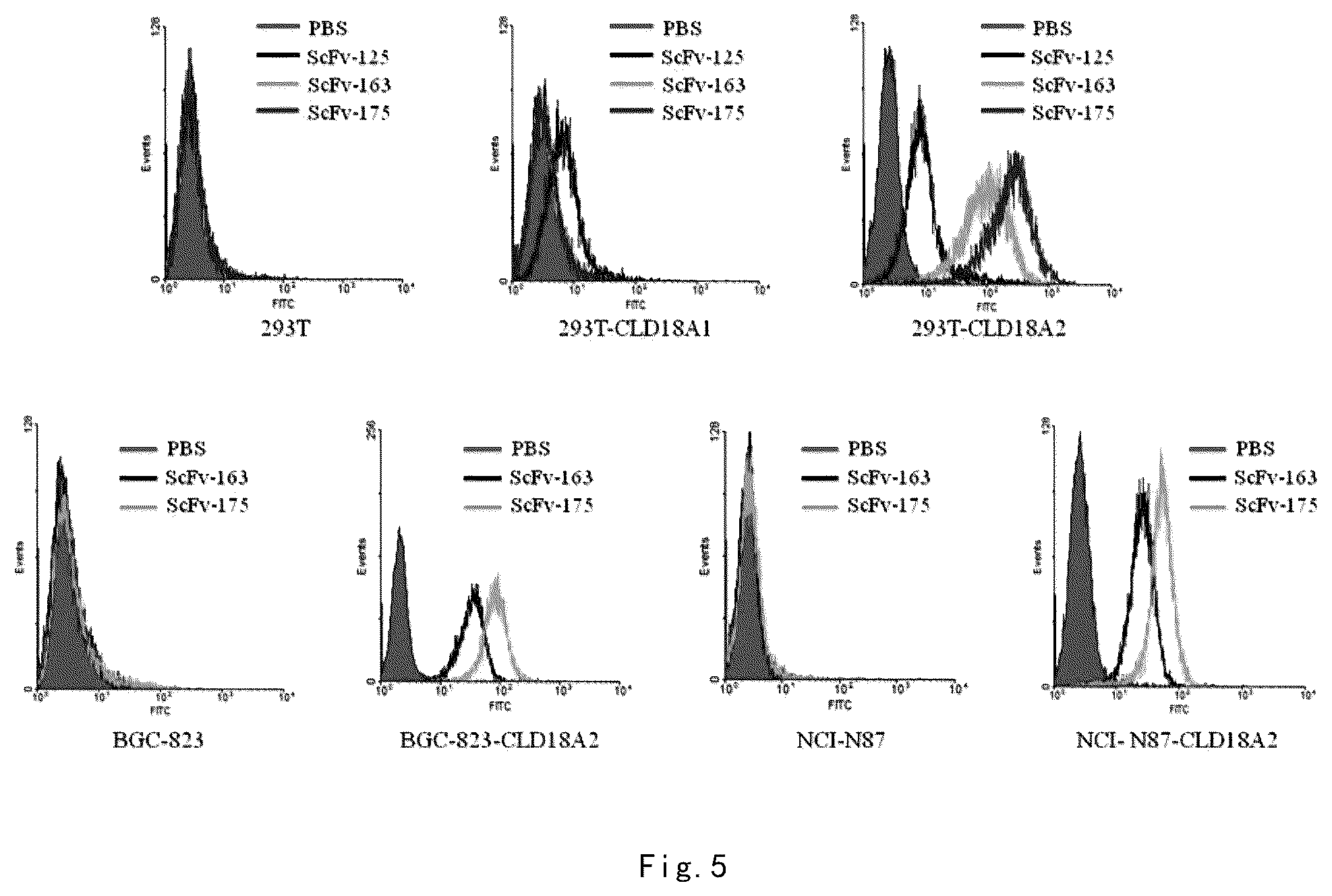 Patent US12098199 Figure 3 – Immunologic effector cell of targeted CLD18A2, and preparation method and use thereof
