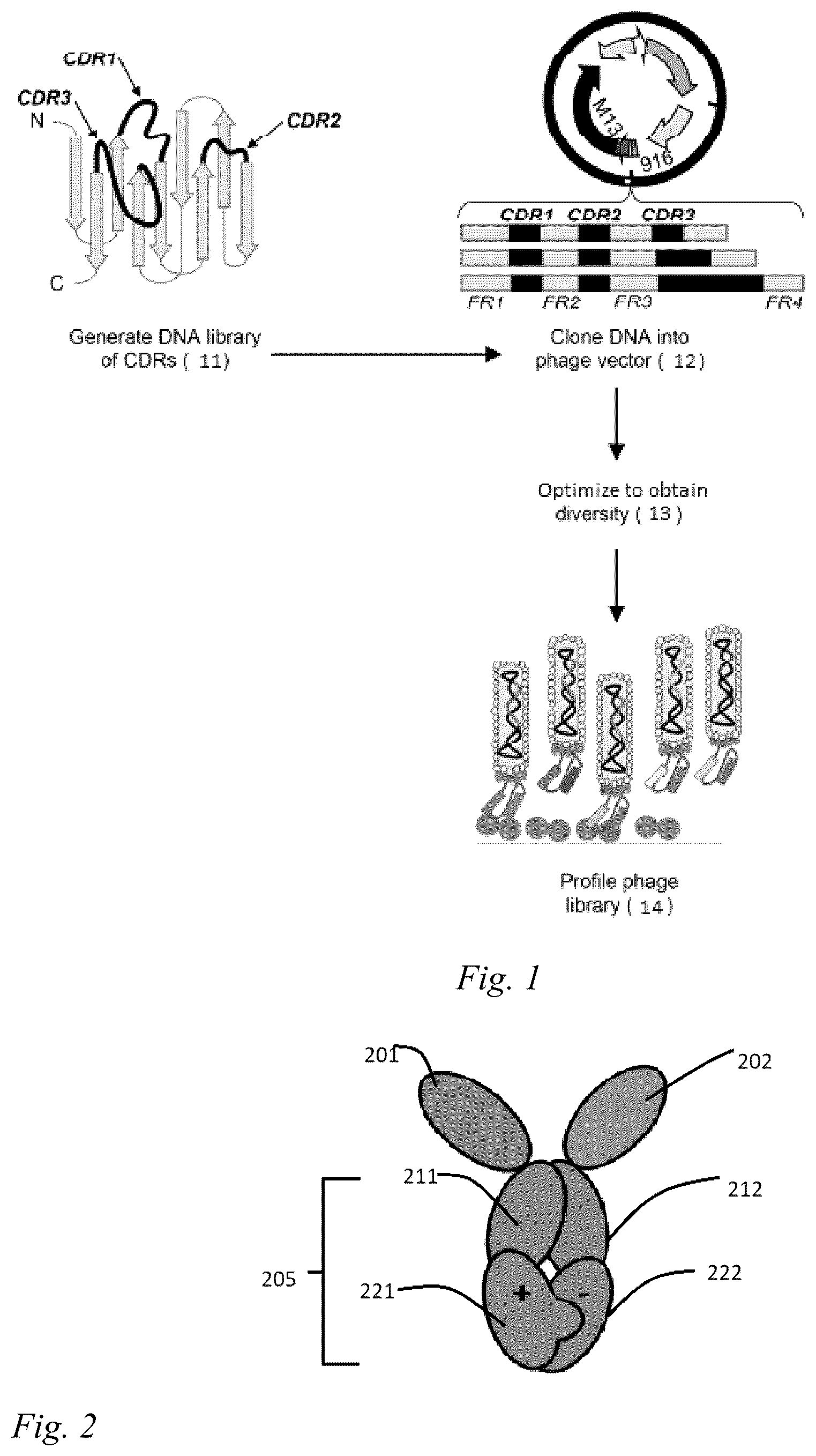 Patent US12098200 Figure 1 – Brain-targeting single domain antibodies and purification methods