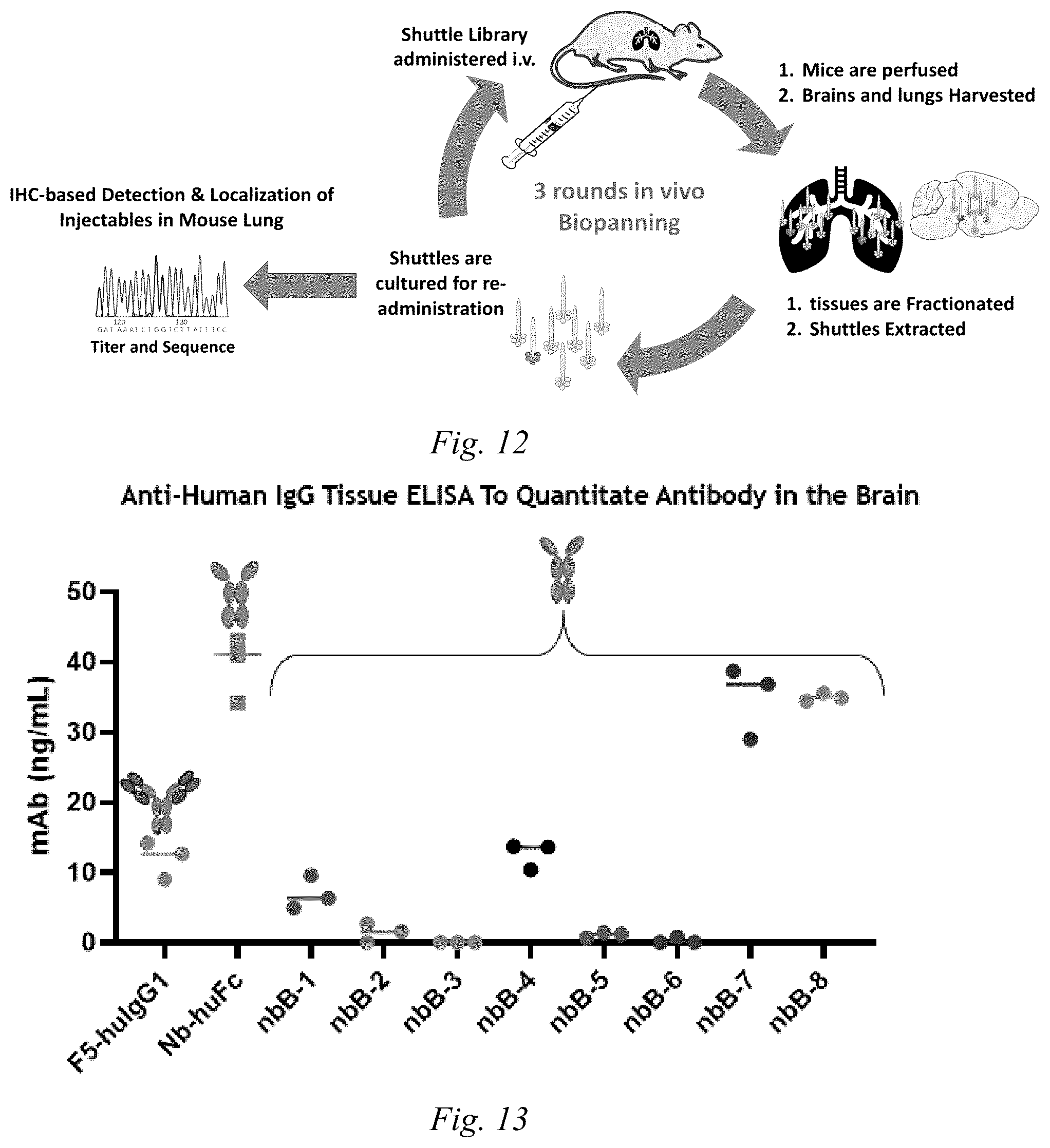 Patent US12098200 Figure 8 – Brain-targeting single domain antibodies and purification methods