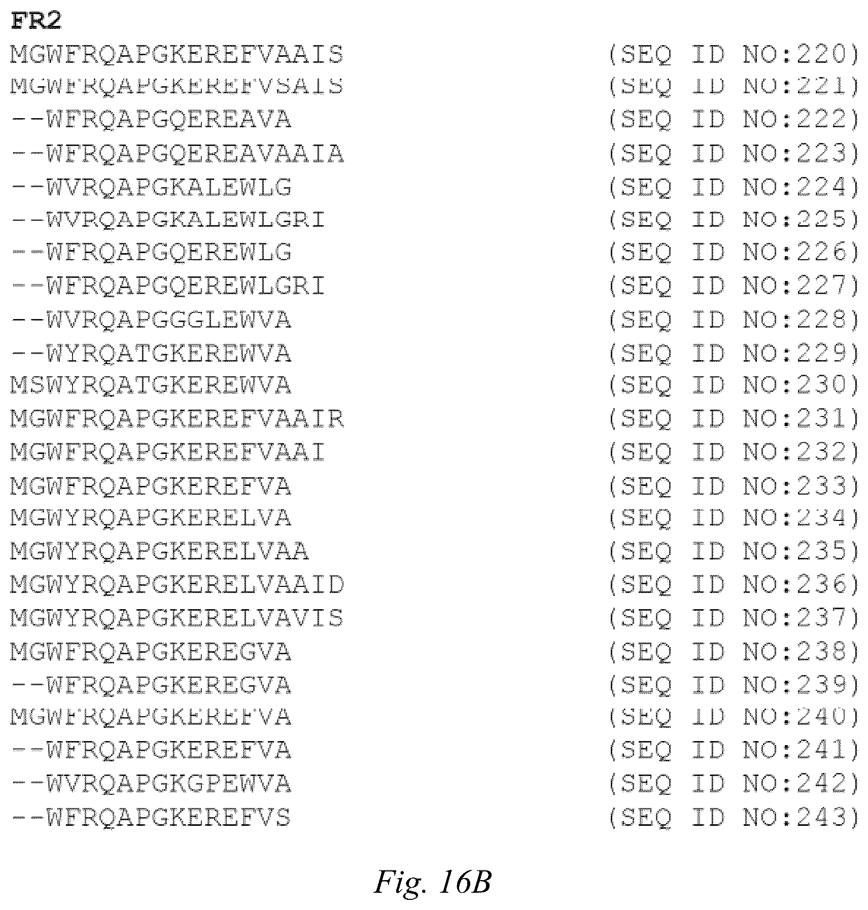 Patent US12098200 Figure 11 – Brain-targeting single domain antibodies and purification methods
