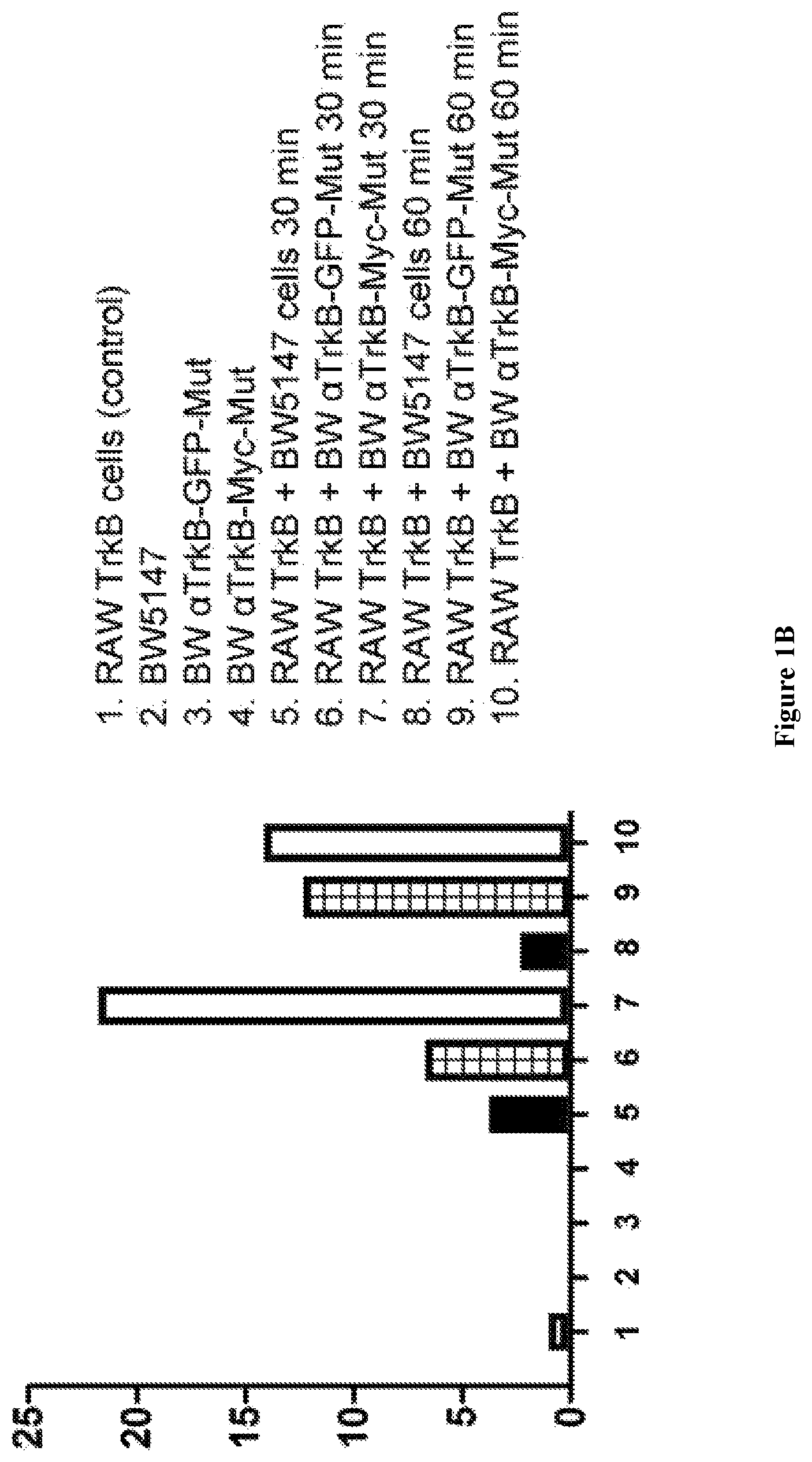Patent US12098202 Figure 2 – Non-cytotoxic modified cells and use thereof