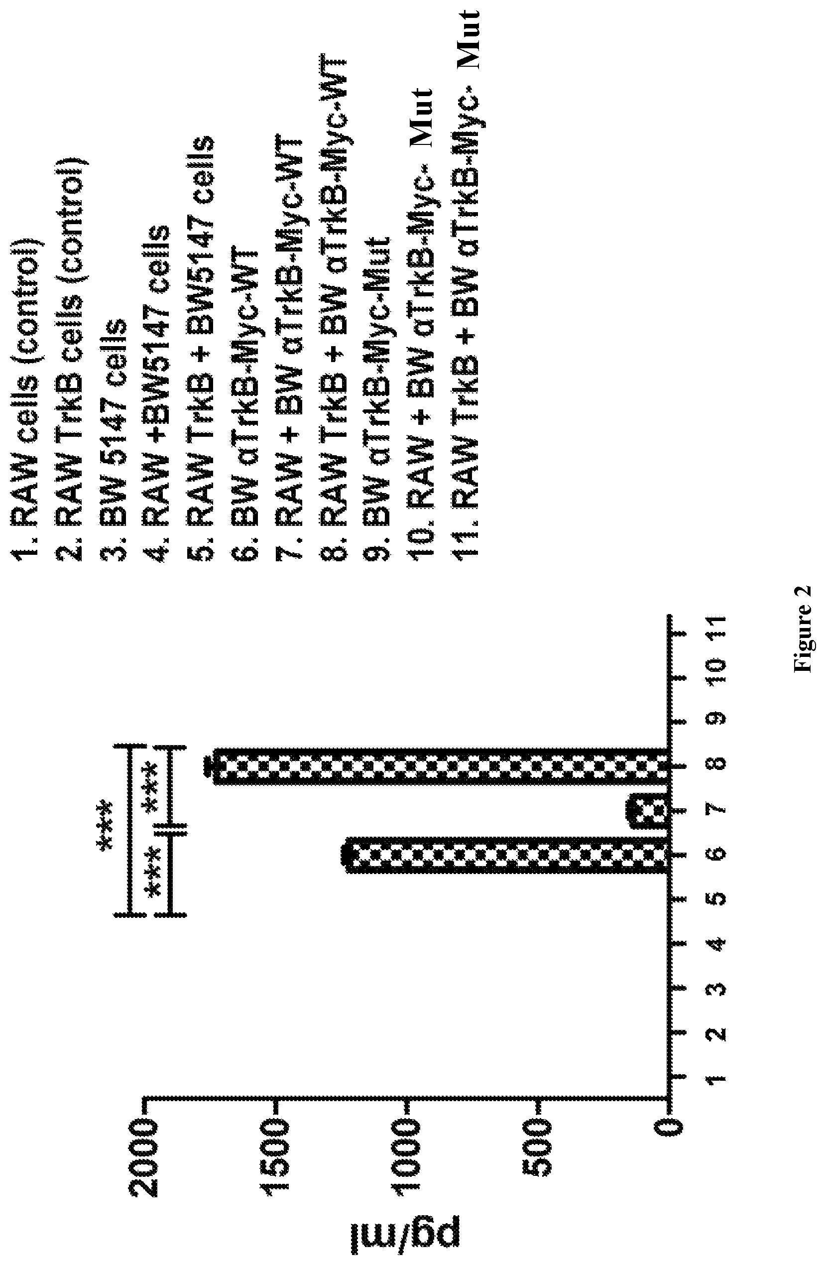 Patent US12098202 Figure 3 – Non-cytotoxic modified cells and use thereof