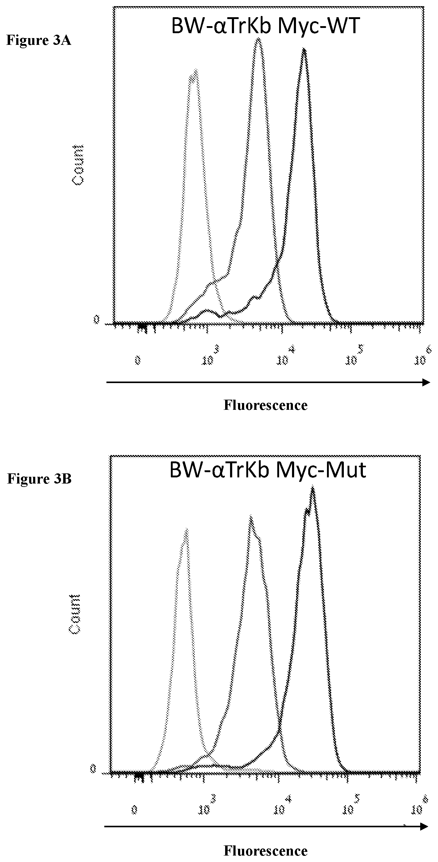 Patent US12098202 Figure 4 – Non-cytotoxic modified cells and use thereof