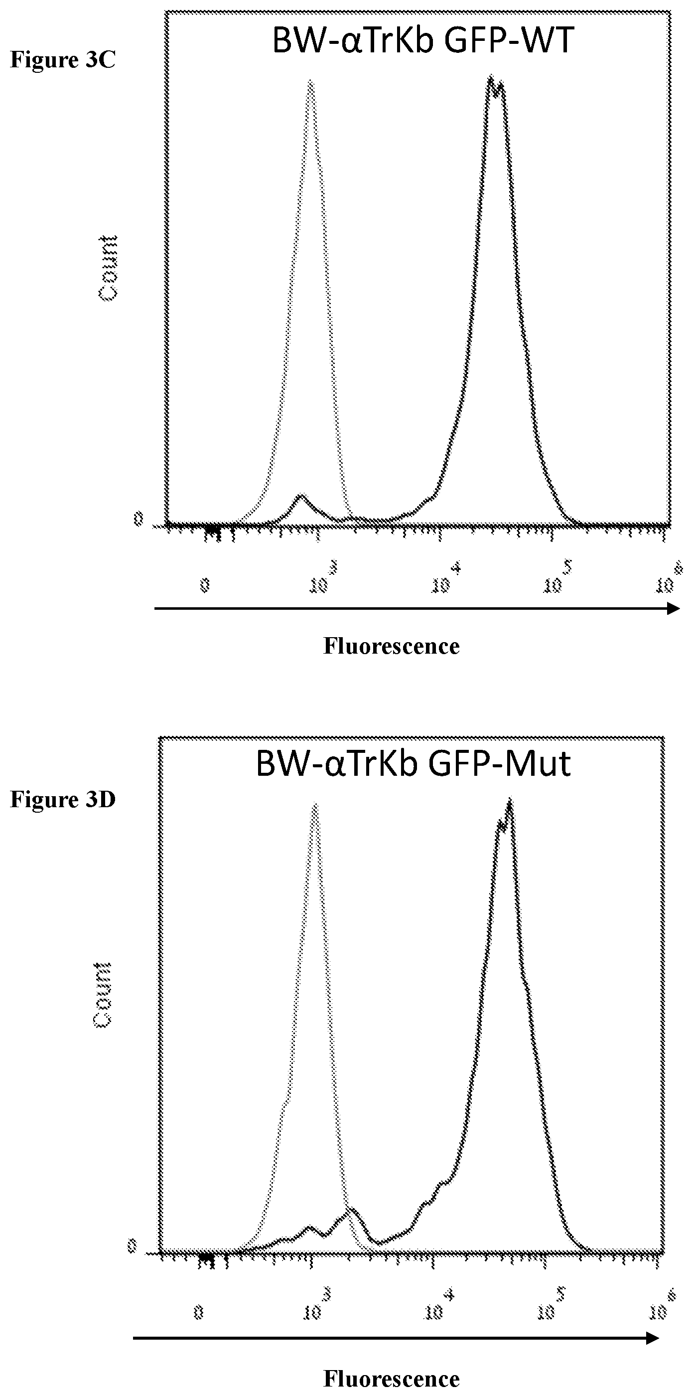 Patent US12098202 Figure 5 – Non-cytotoxic modified cells and use thereof
