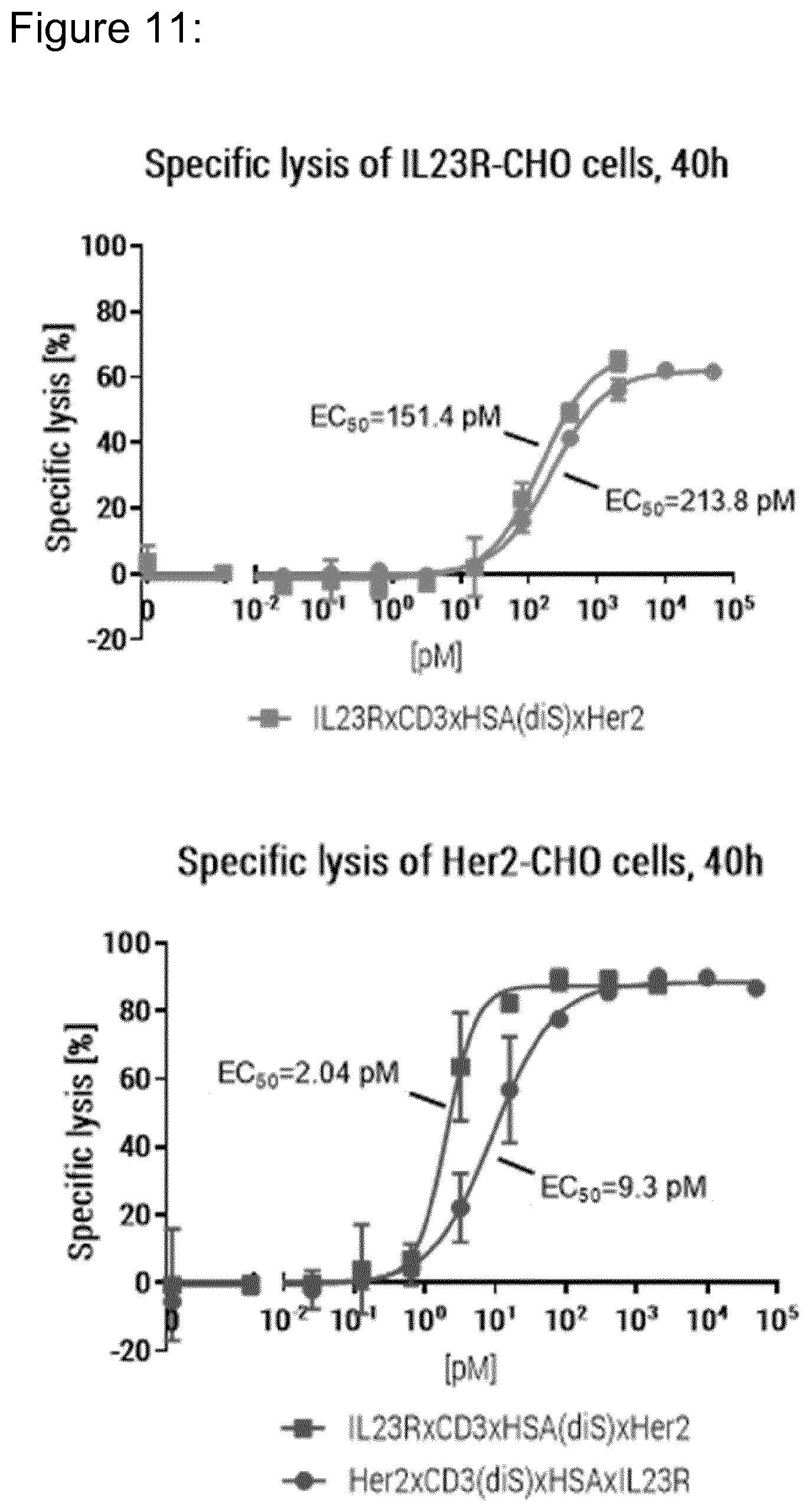 Patent US12098203 Figure 11 – Hetero-dimeric multi-specific antibody format targeting at least CD3 and HSA