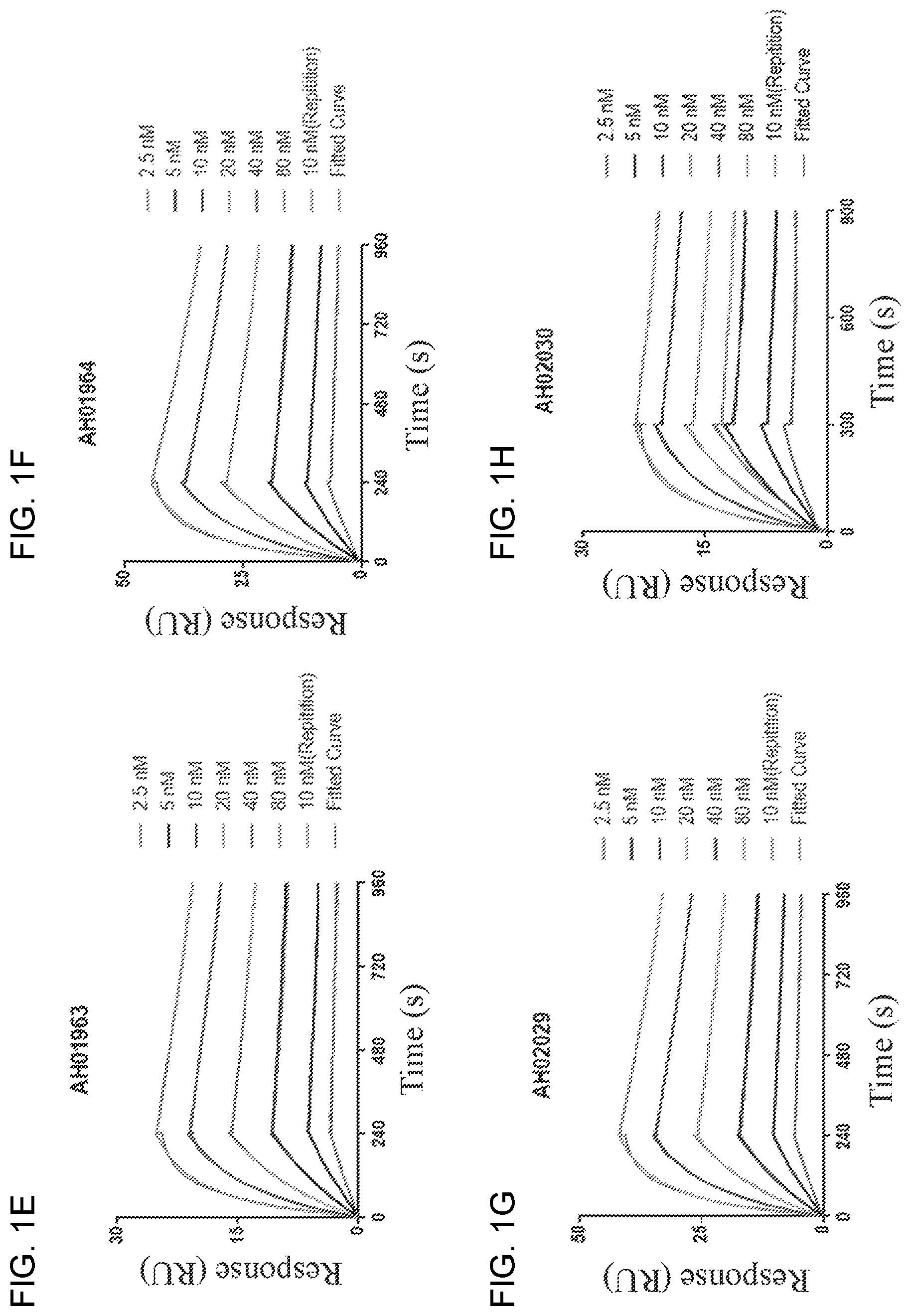 Patent US12098204 Figure 2 – Humanized anti-human PD-L1 monoclonal antibody and preparation method therefor and use thereof